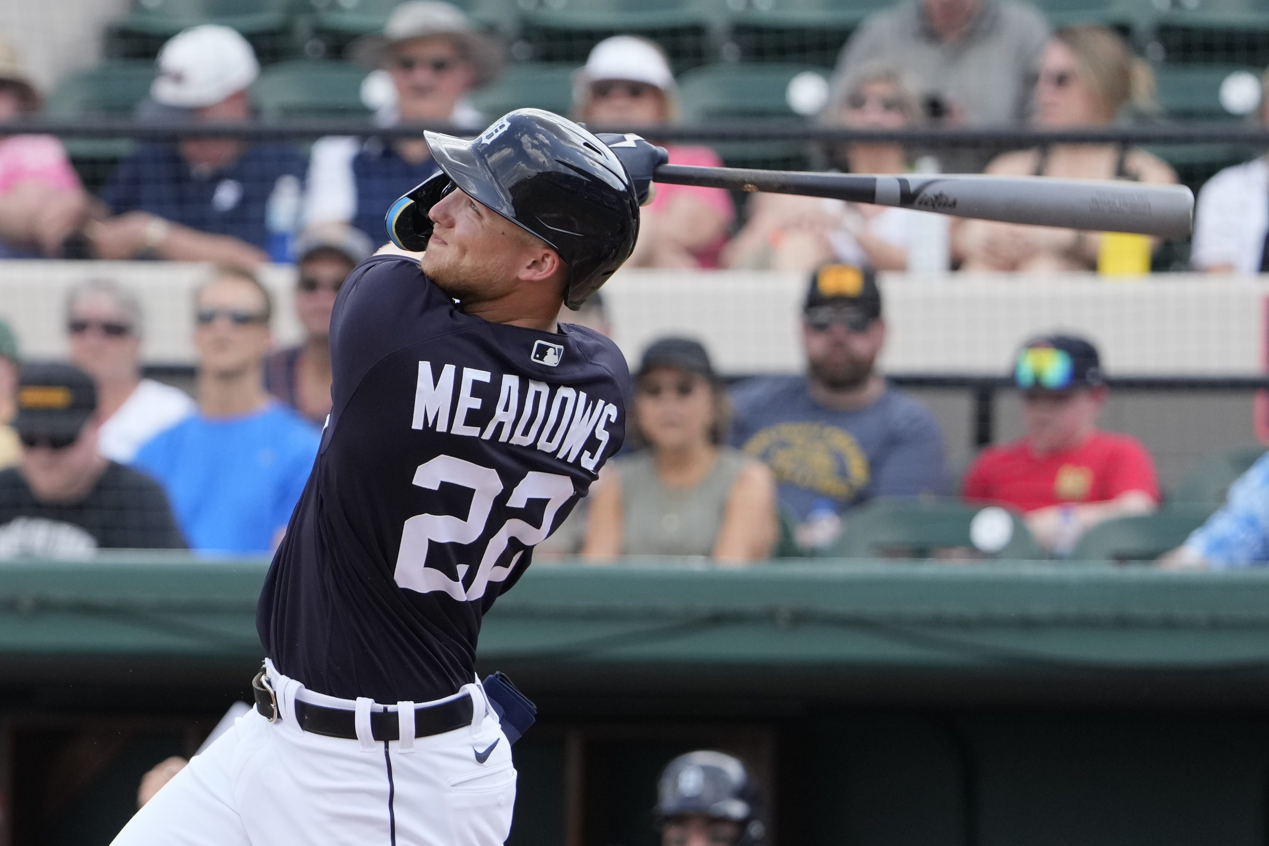 Outfielder Eric Davis of the Detroit Tigers at bat during a game.