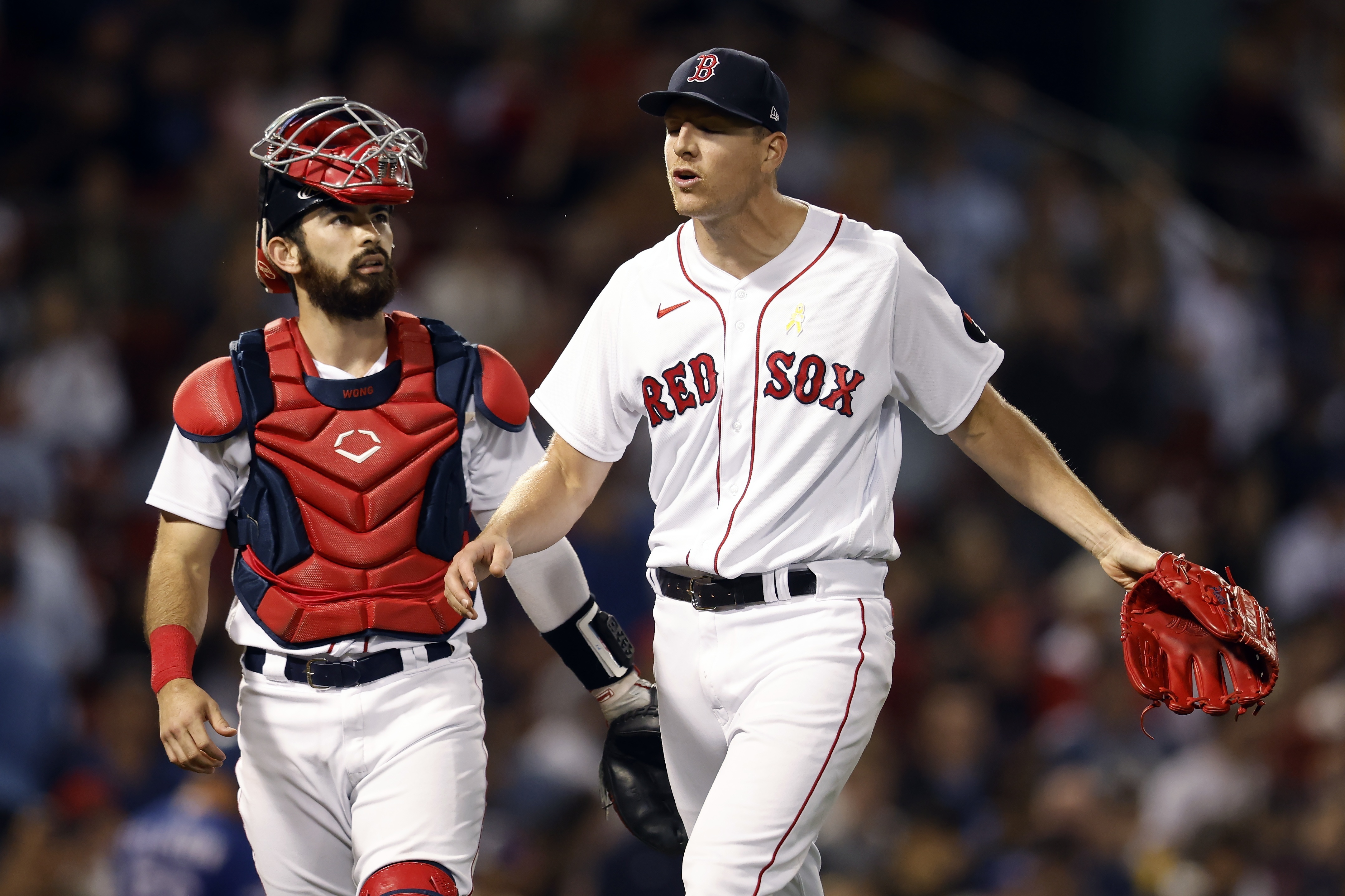 12 New England pets showing off their Red Sox pride