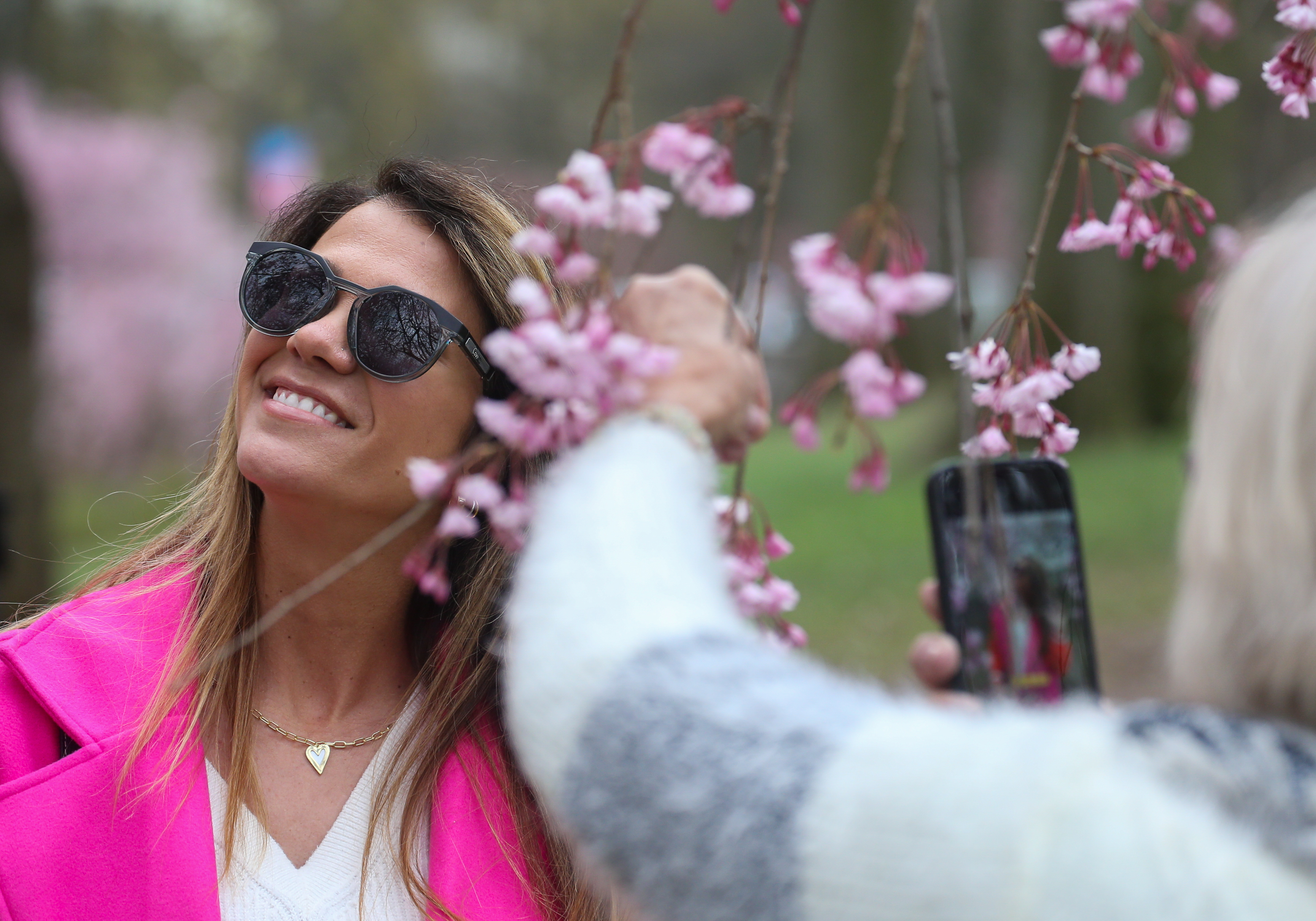 Newark's Cherry Blossom 2025 Bloomfest - nj.com