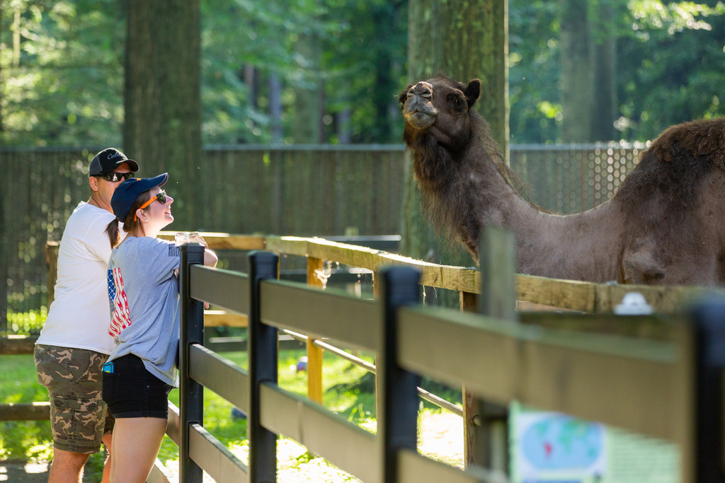 ‘Brew at the Zoo’ returns to Springfield’s Forest Park News 413