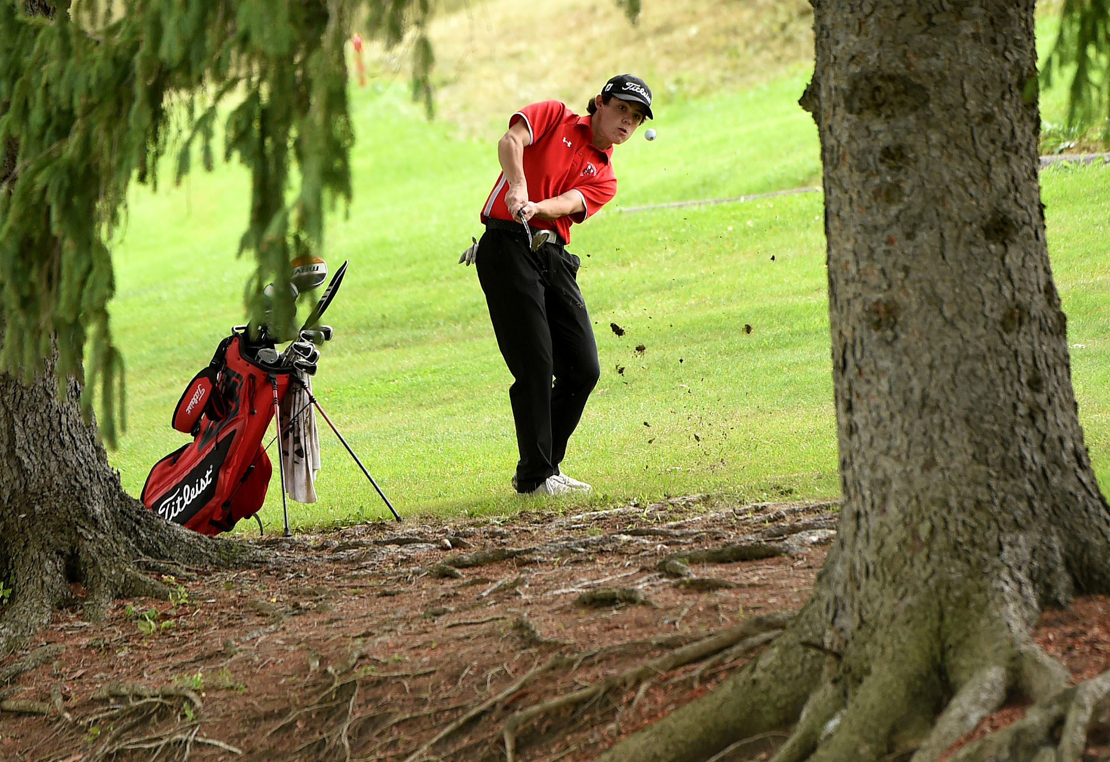 Boys golf large school Section III sectional