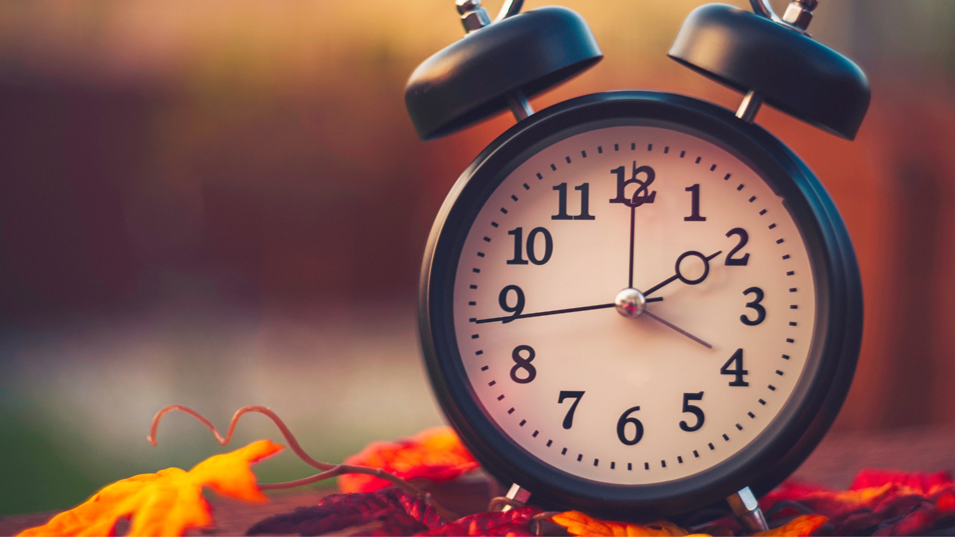 Get ready to 'fall back' this weekend as Daylight Saving Time ends