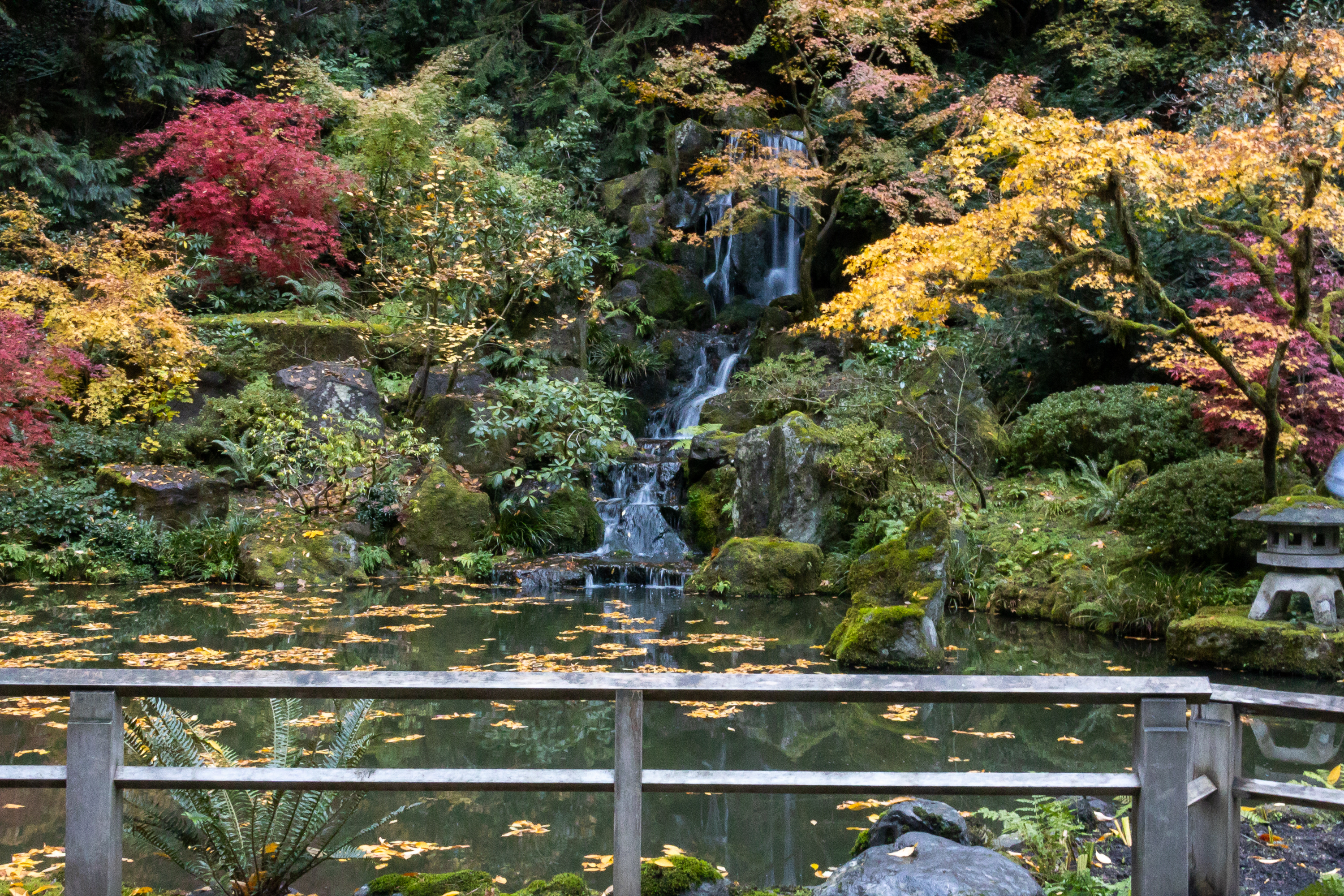 Fall foliage at the Portland Japanese Garden - oregonlive.com