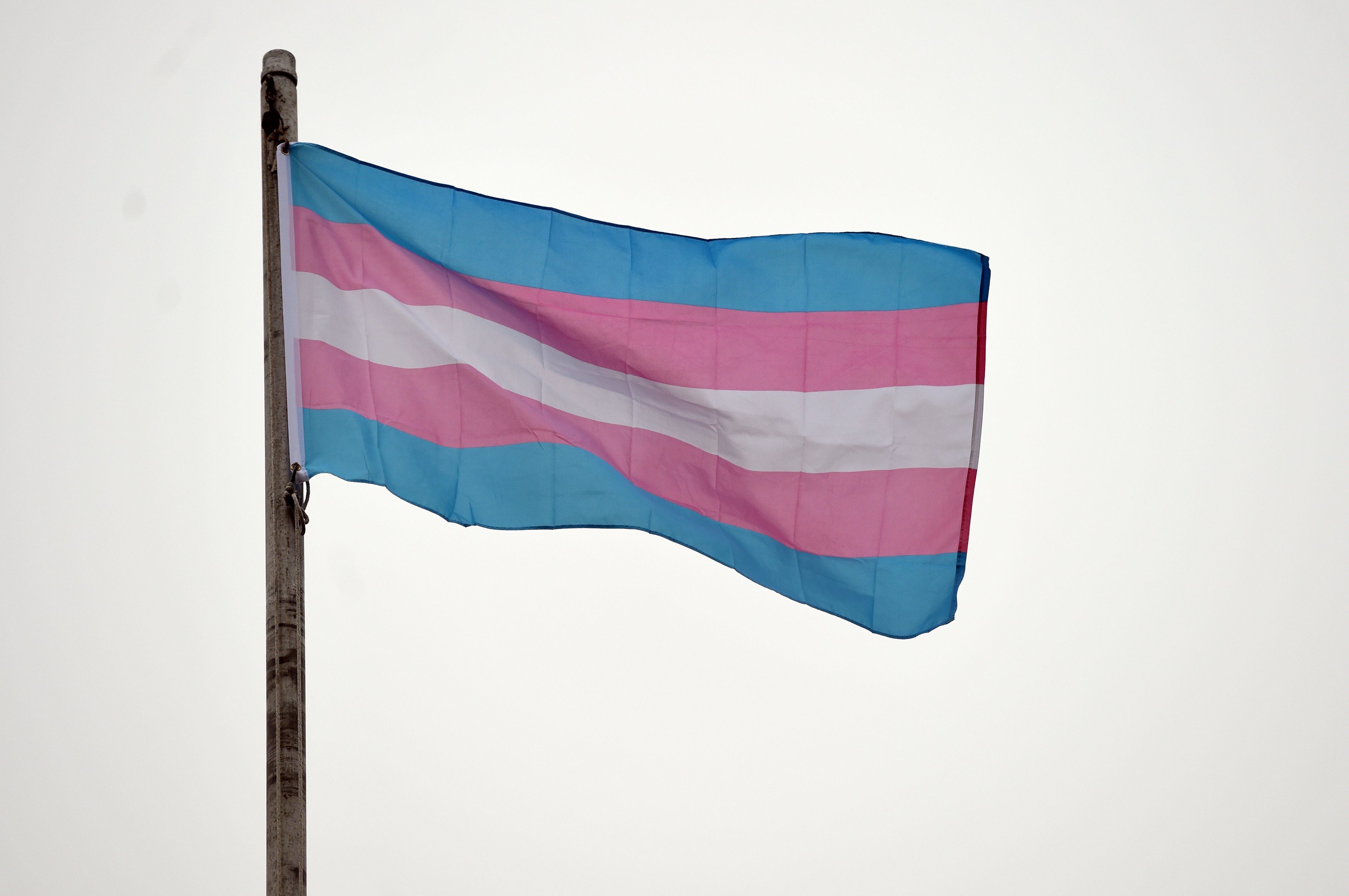 Washtenaw County will raise transgender pride flag, create 'gender