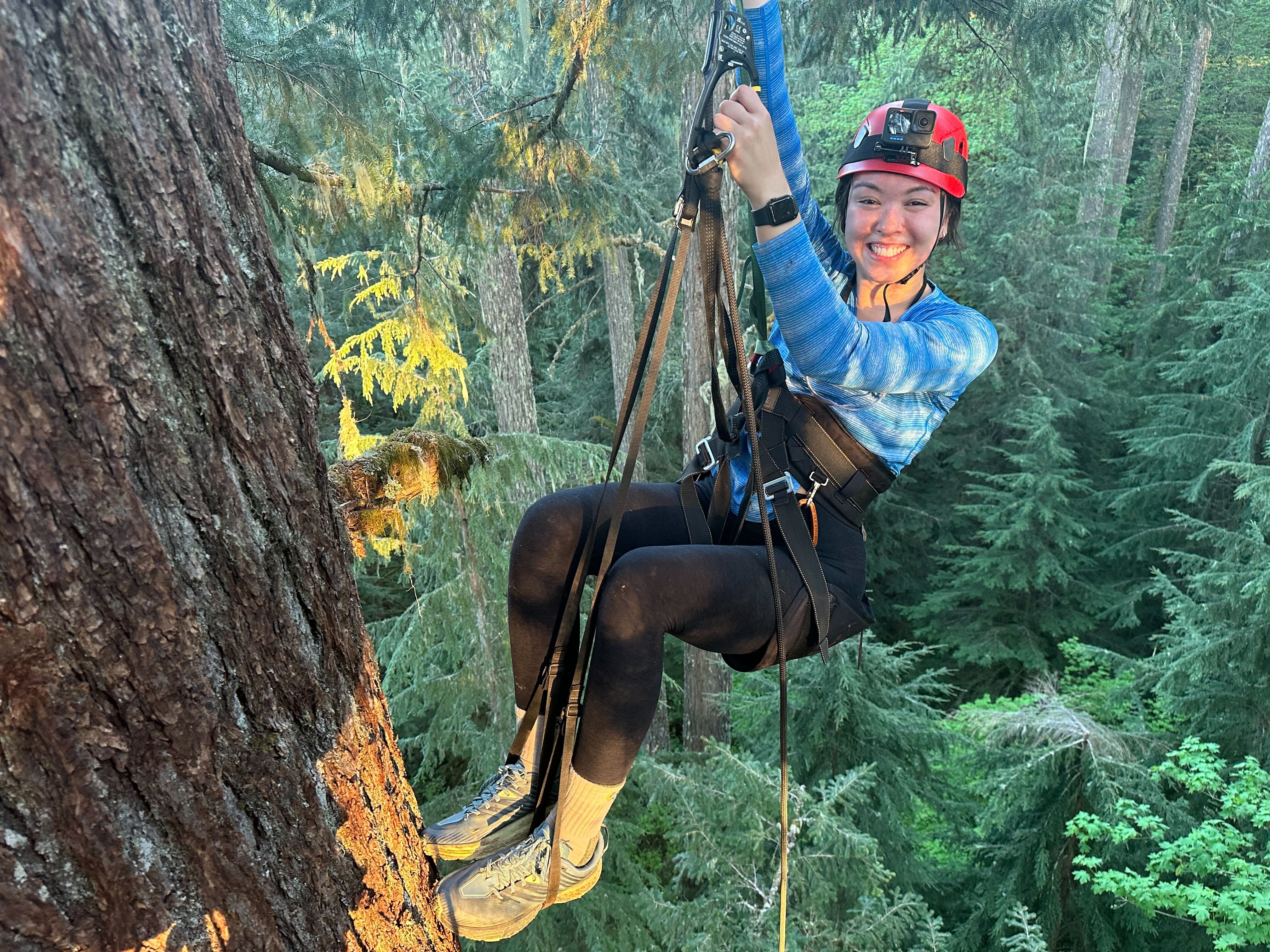 I climbed a 300-foot-tall tree at Silver Falls State Park. You can, too. 