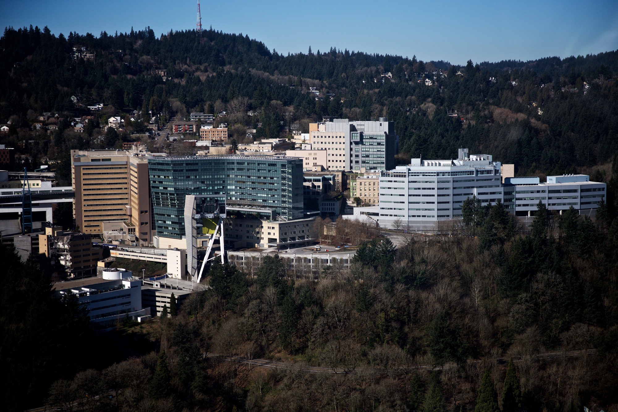 Rentals Near Ohsu