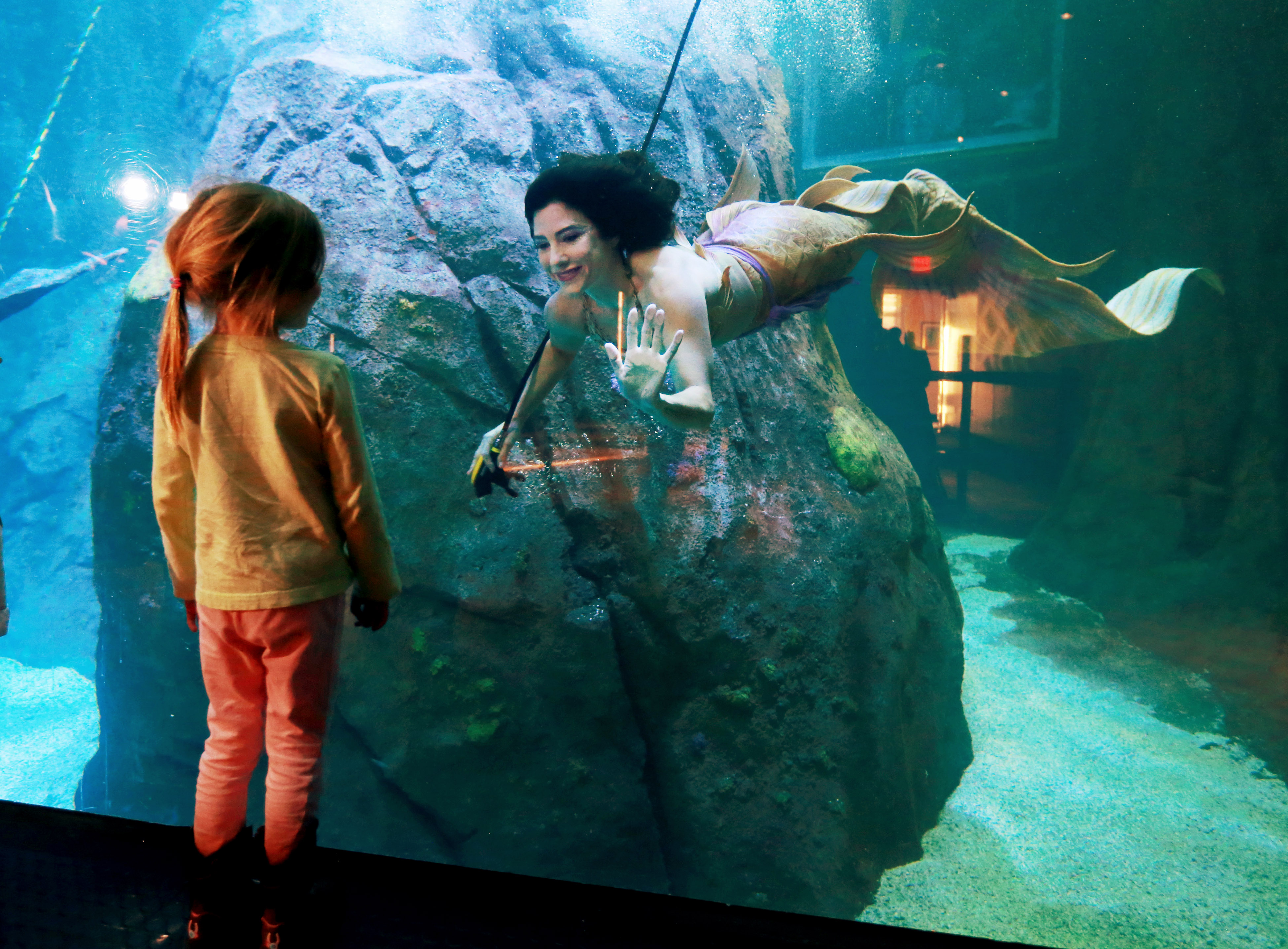 Mermaids swim into Adventure Aquarium