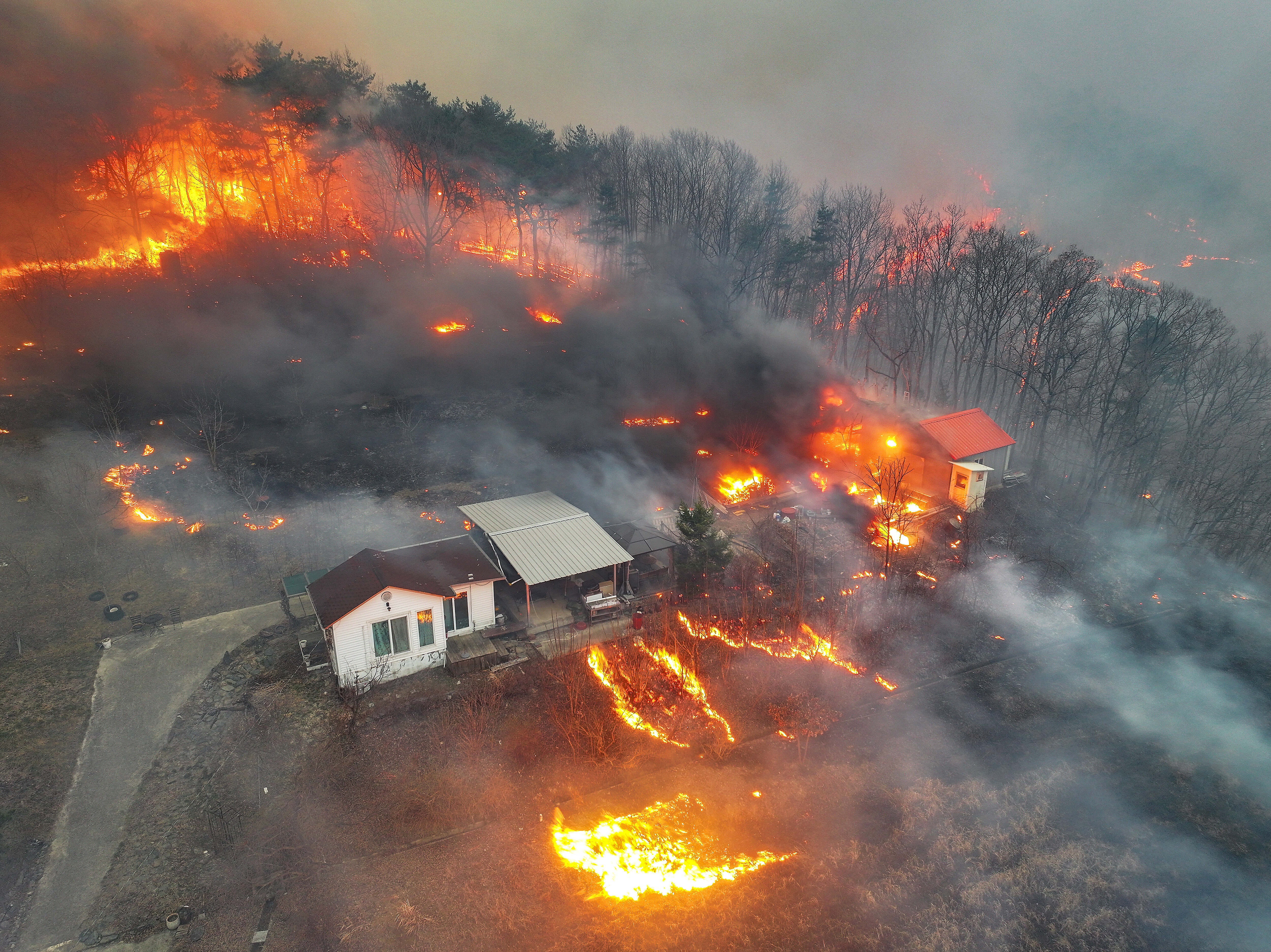 Deadly wildfires destroy ancient temple in South Korea - pennlive.com