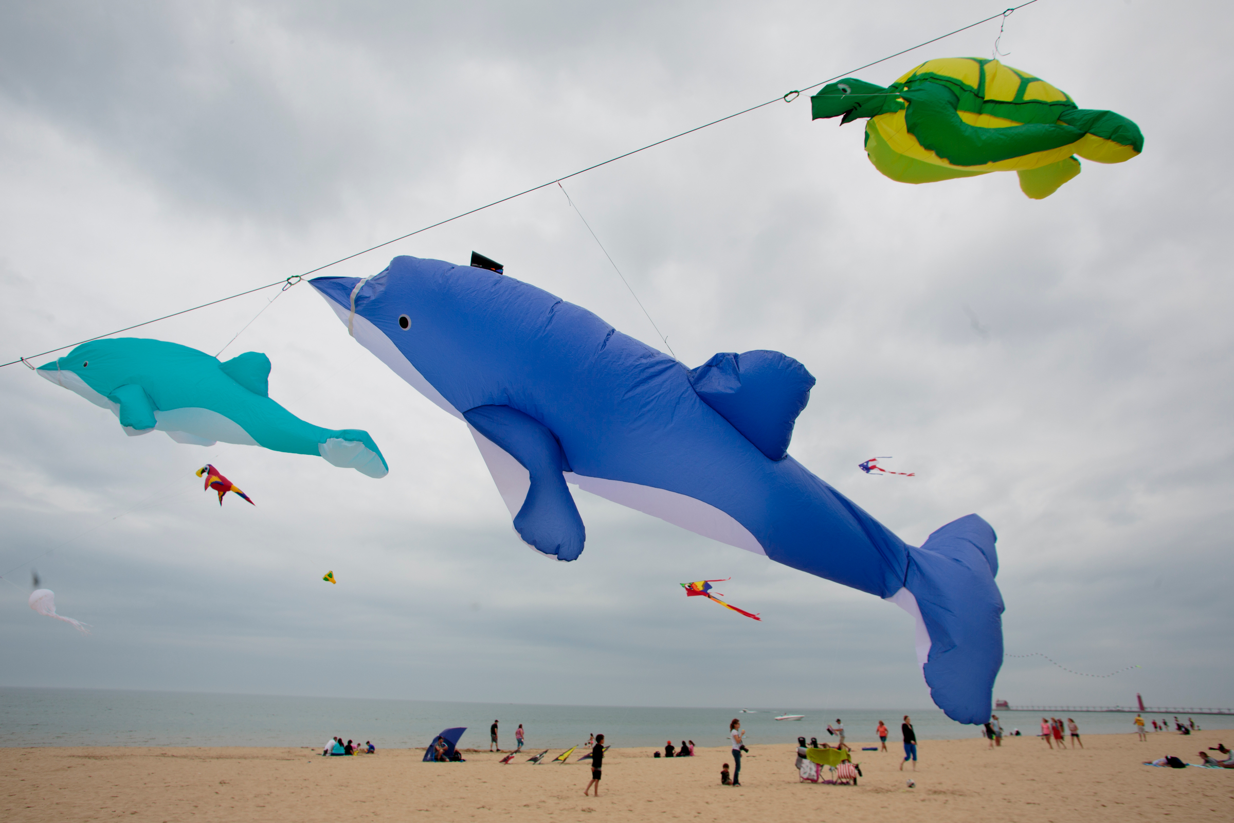 Huge kites, synchronized teams part of Grand Haven Kite Fest this weekend