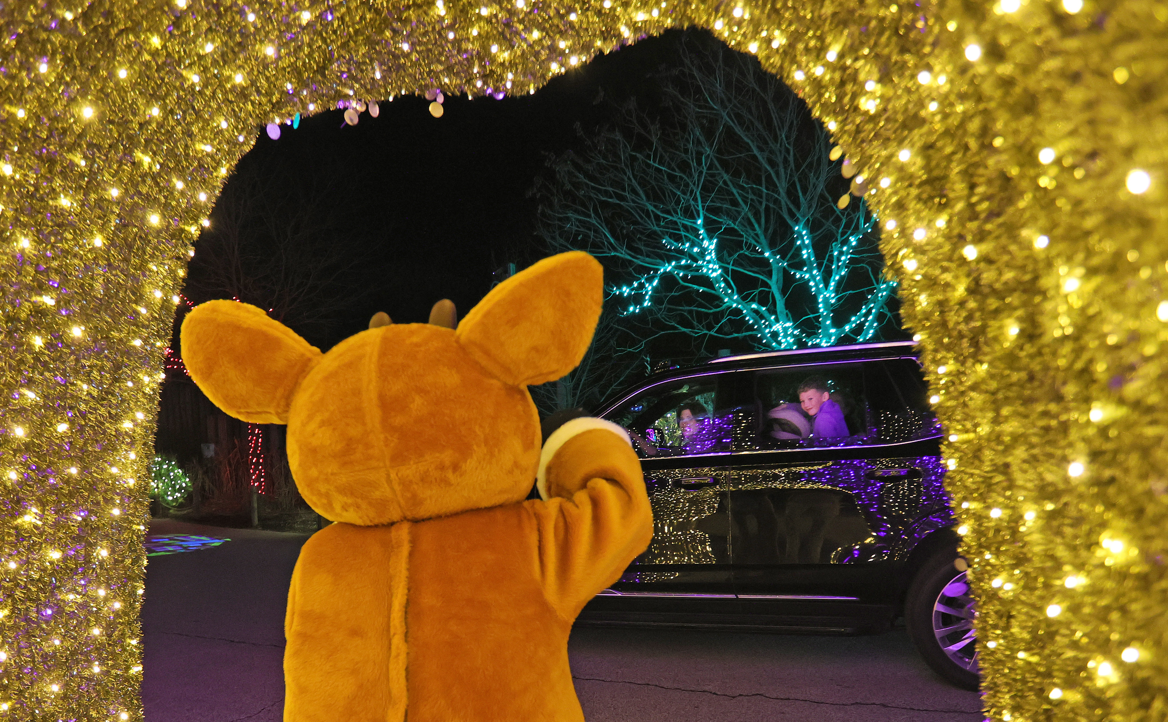 Cleveland Zoo is lit bright in an array of stunning colors during