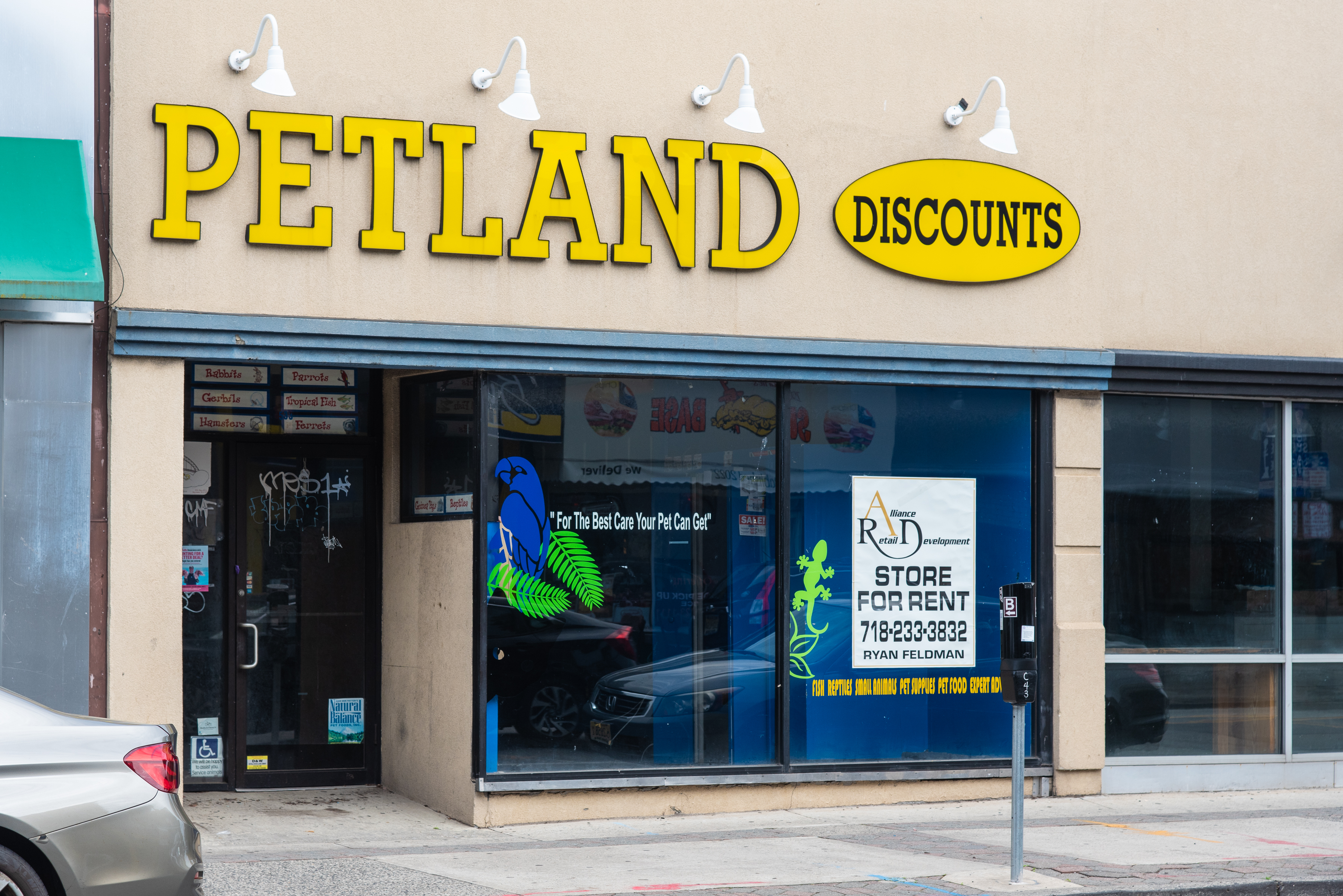 Petland broadway sale