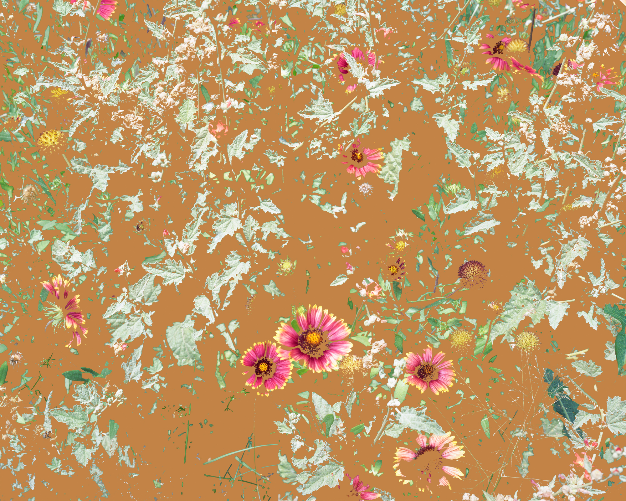 Aaron Rothman landscapes explore the technological sublime in 