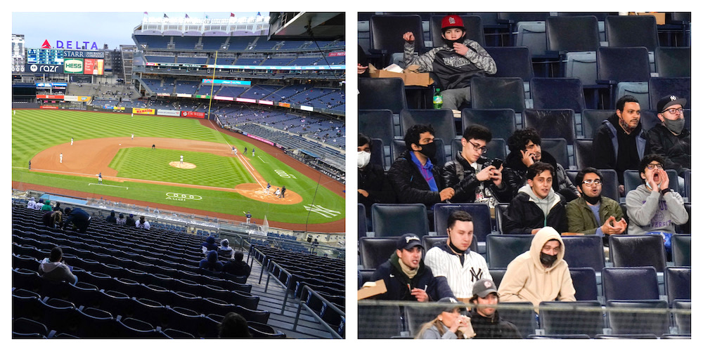 Baseball fans think they've solved the mystery of who 'distracting' old man  is sat behind the plate at Yankee Stadium