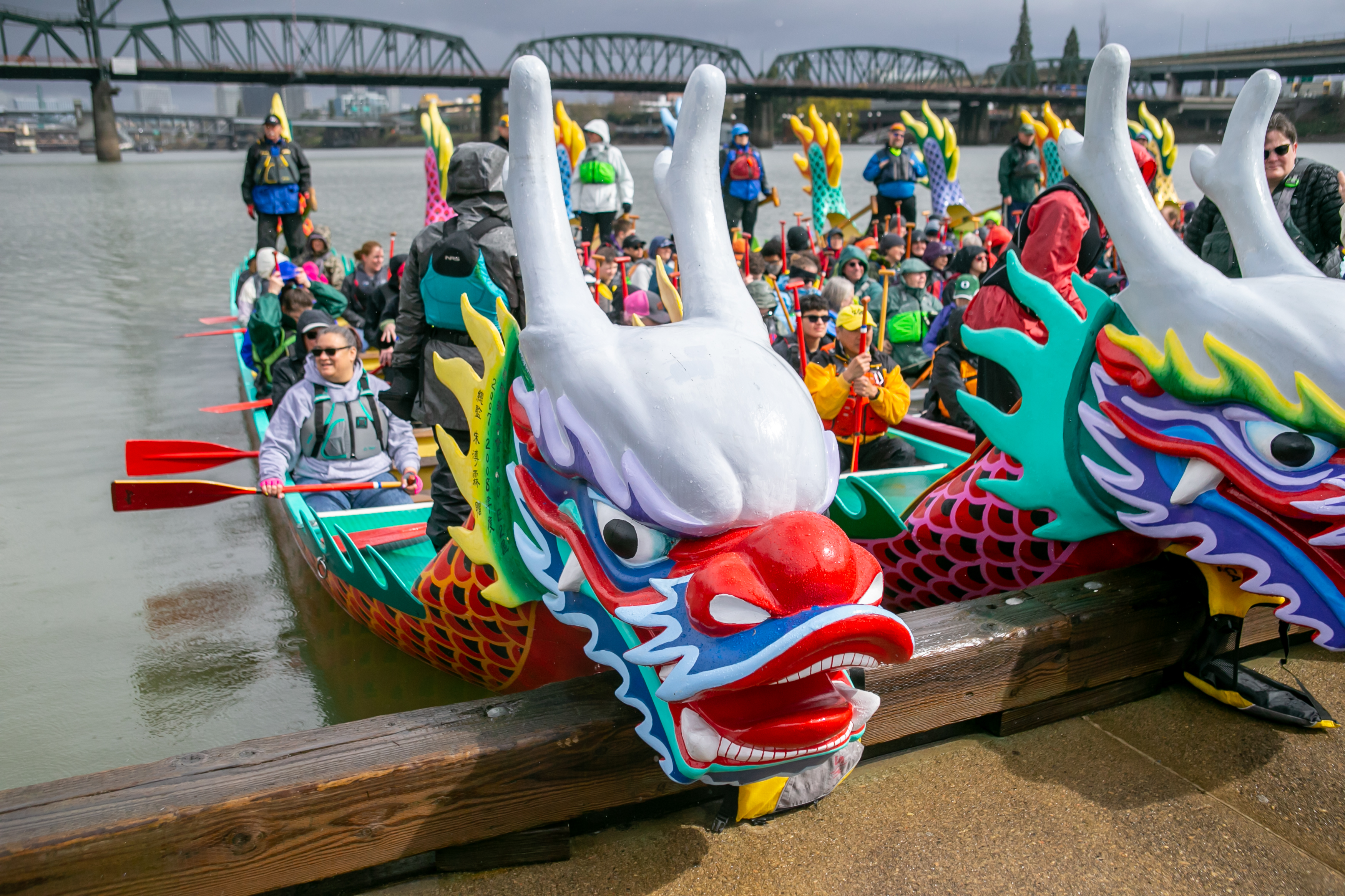 Dragon Boat Race - Portland Rose Festival - My Family Guide
