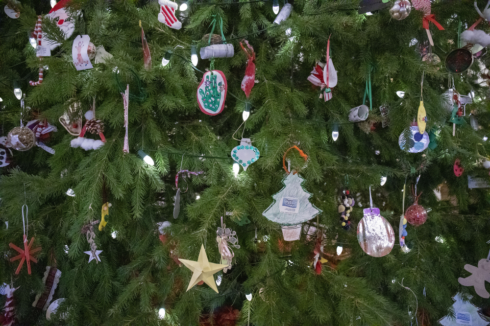 Capitol Rotunda Christmas tree lit without ceremony - pennlive.com