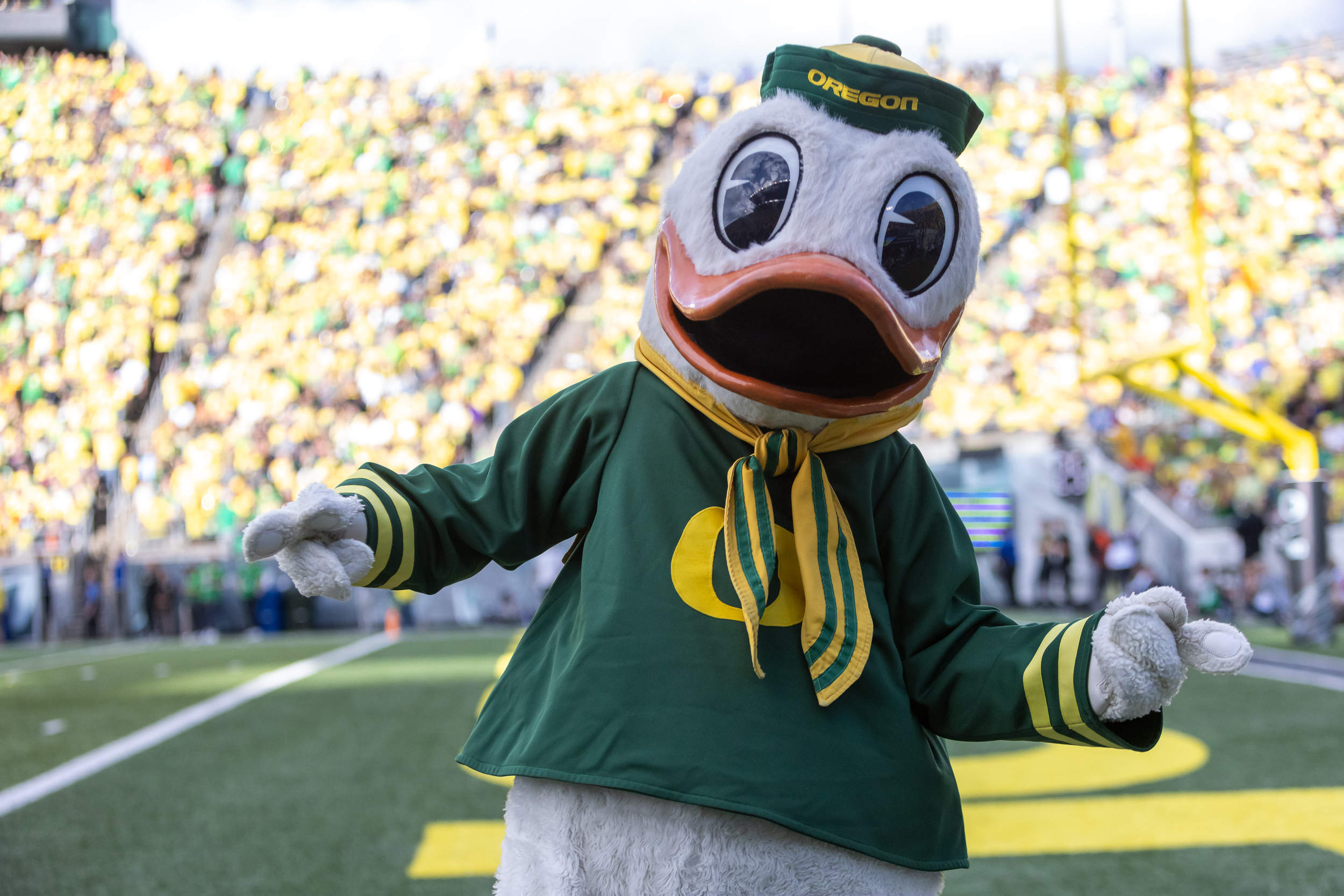 Oregon Duck loses mascot head during run out ahead of Week 1 game against  Montana State - al.com, image size:2500x1667