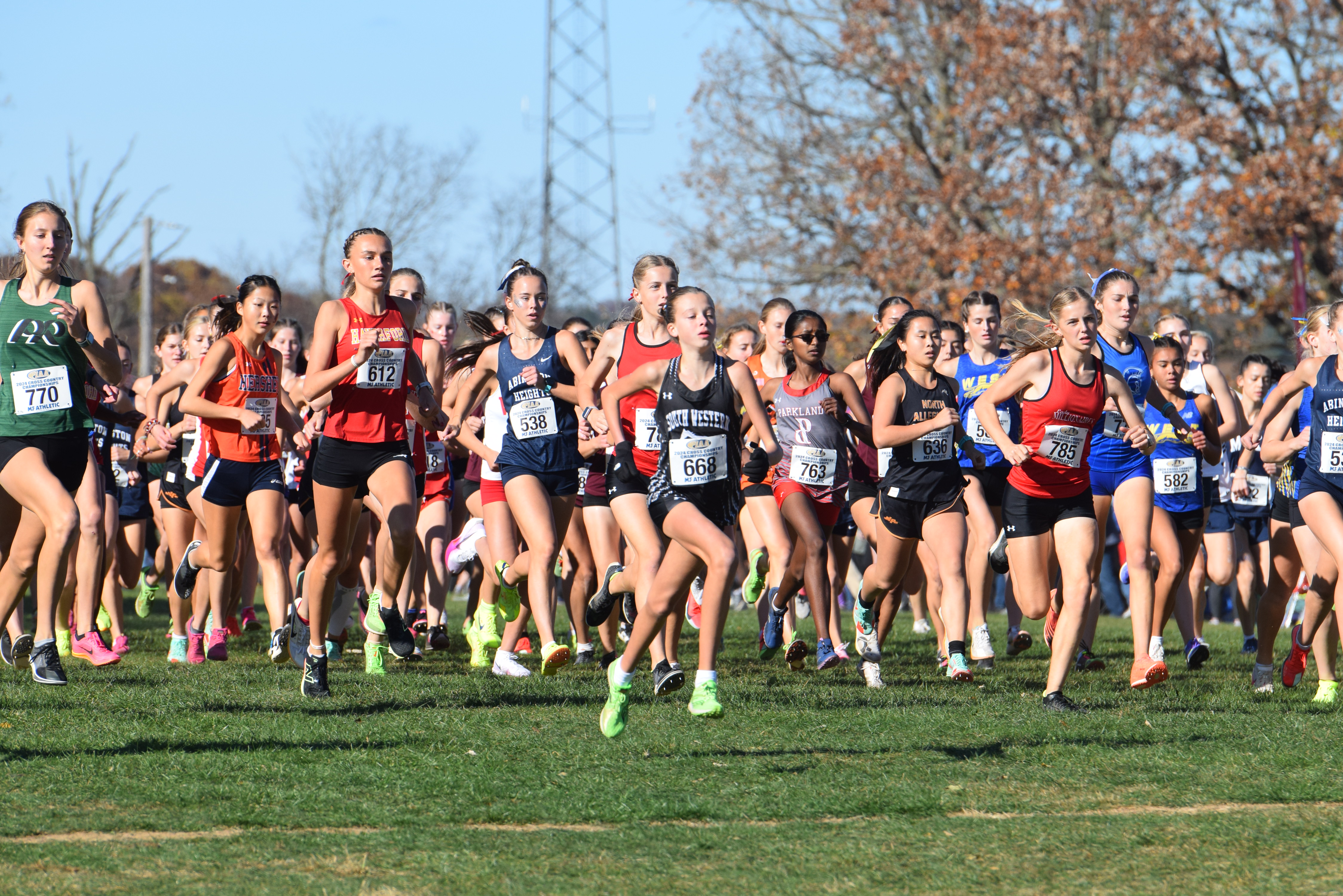 PIAA Cross Country Championships Nov. 2 2024 - pennlive.com