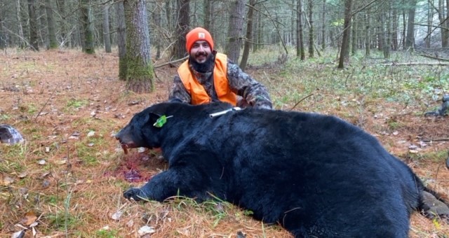 West Virginia hunters harvest 2,756 black bears, Sports