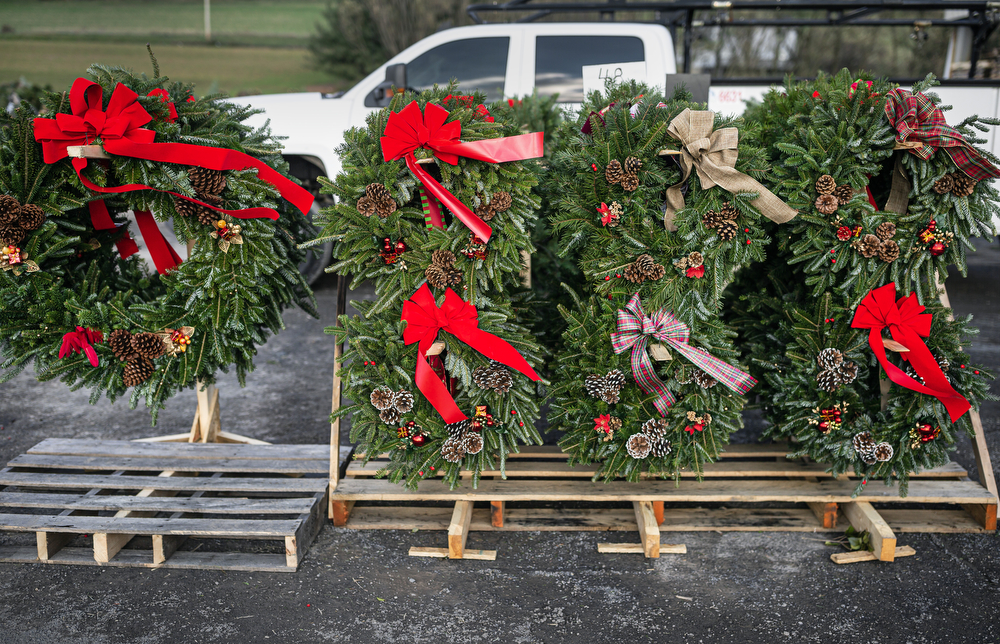 World’s largest Christmas tree auction at Buffalo Valley Produce