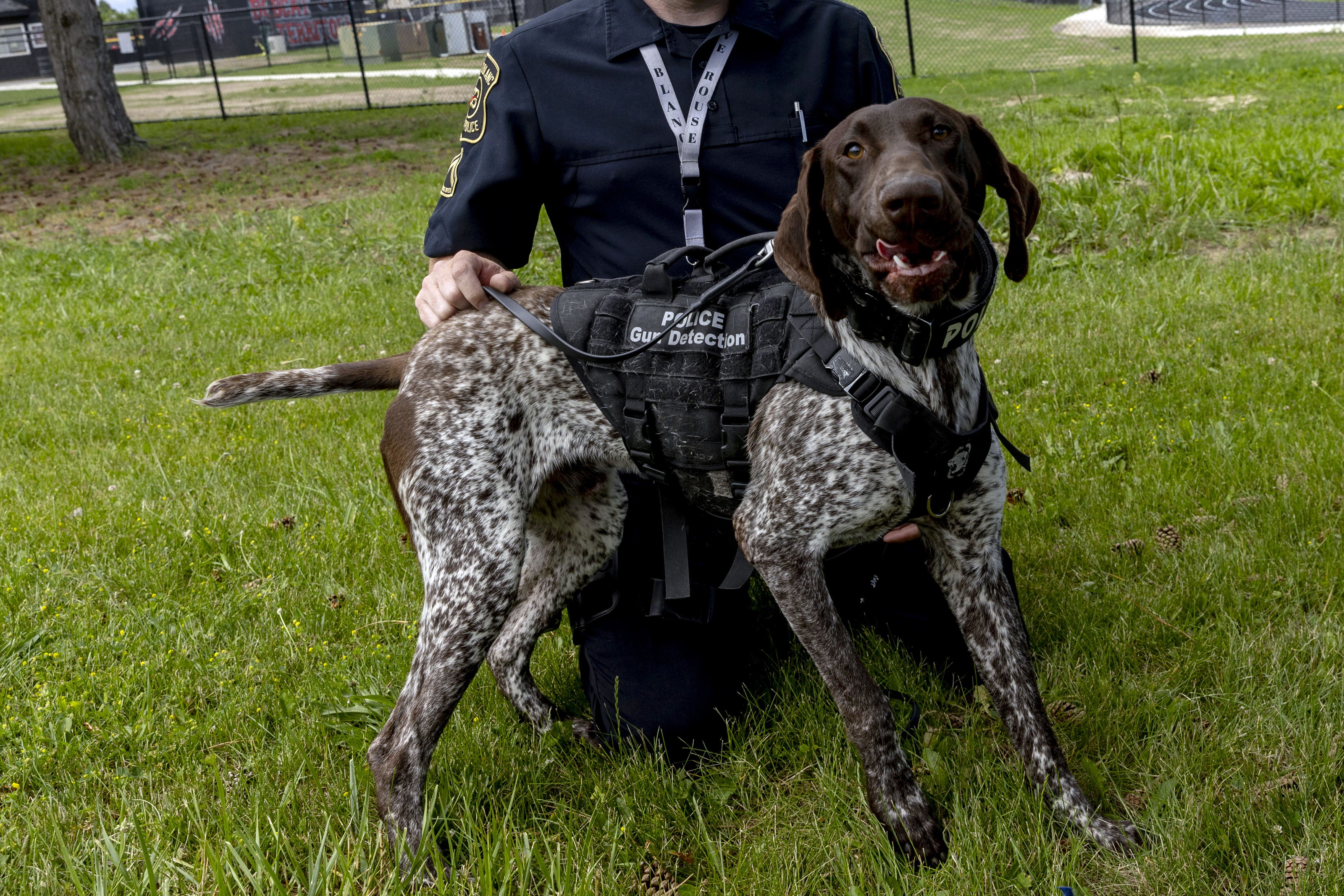 Meet Grand Blanc High School's new K9 officer. His name is Ace. - mlive.com