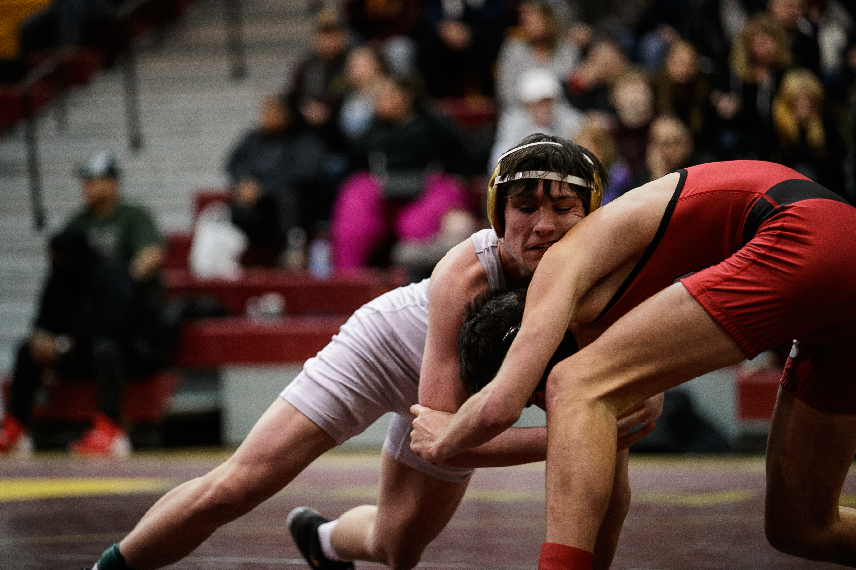Davison High School wrestling hosts Division 1 District Wresting ...