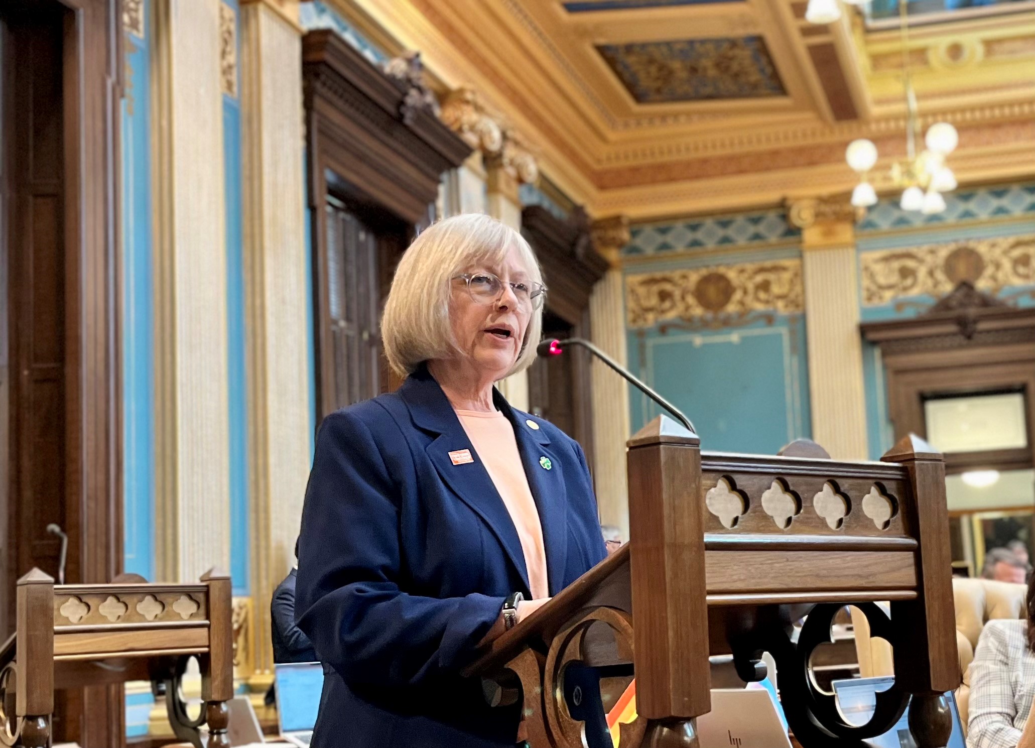 Red flag, universal background checks and safe storage bills pass Michigan  Senate 