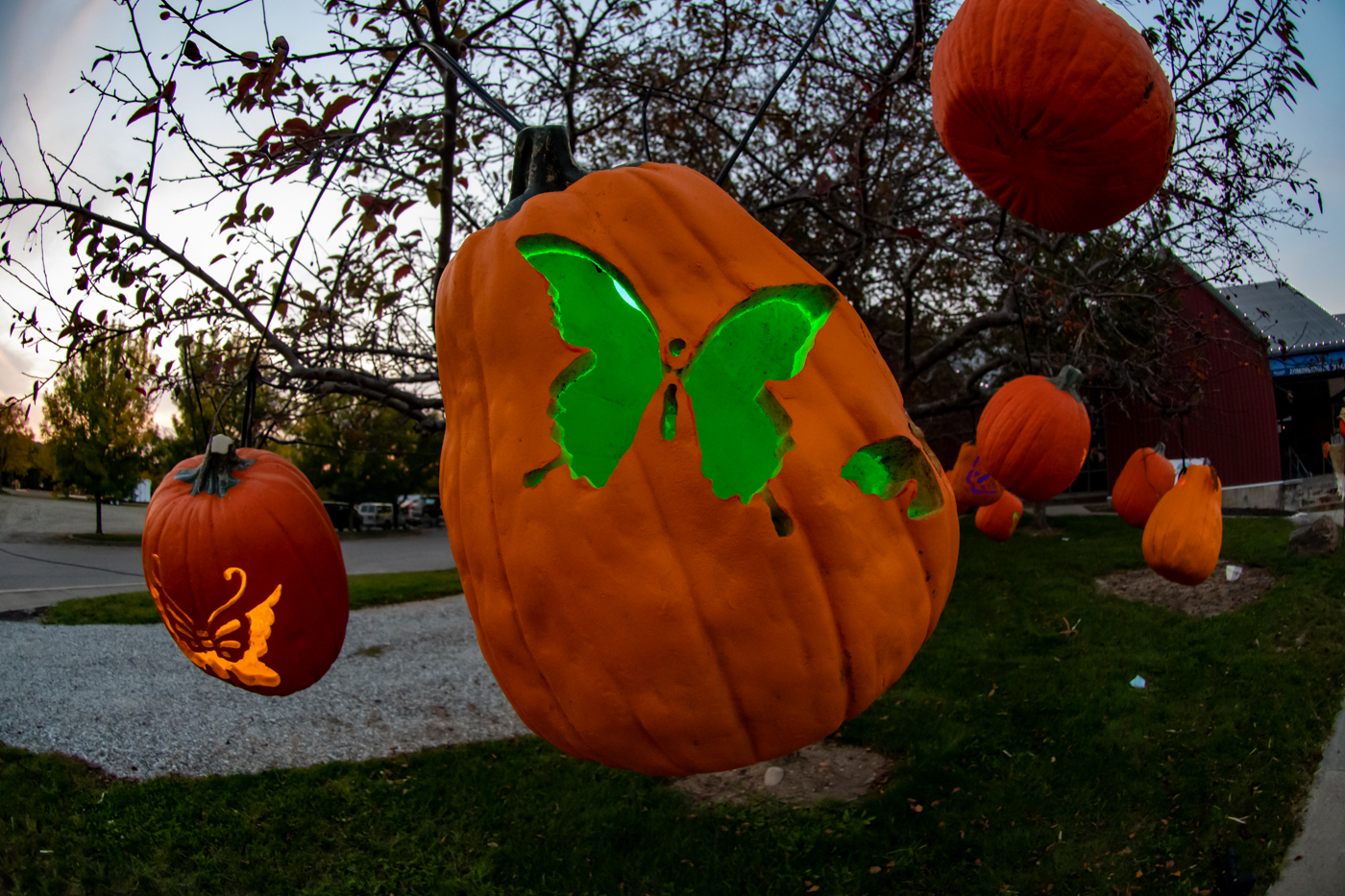 Hyperlocal JackOLantern