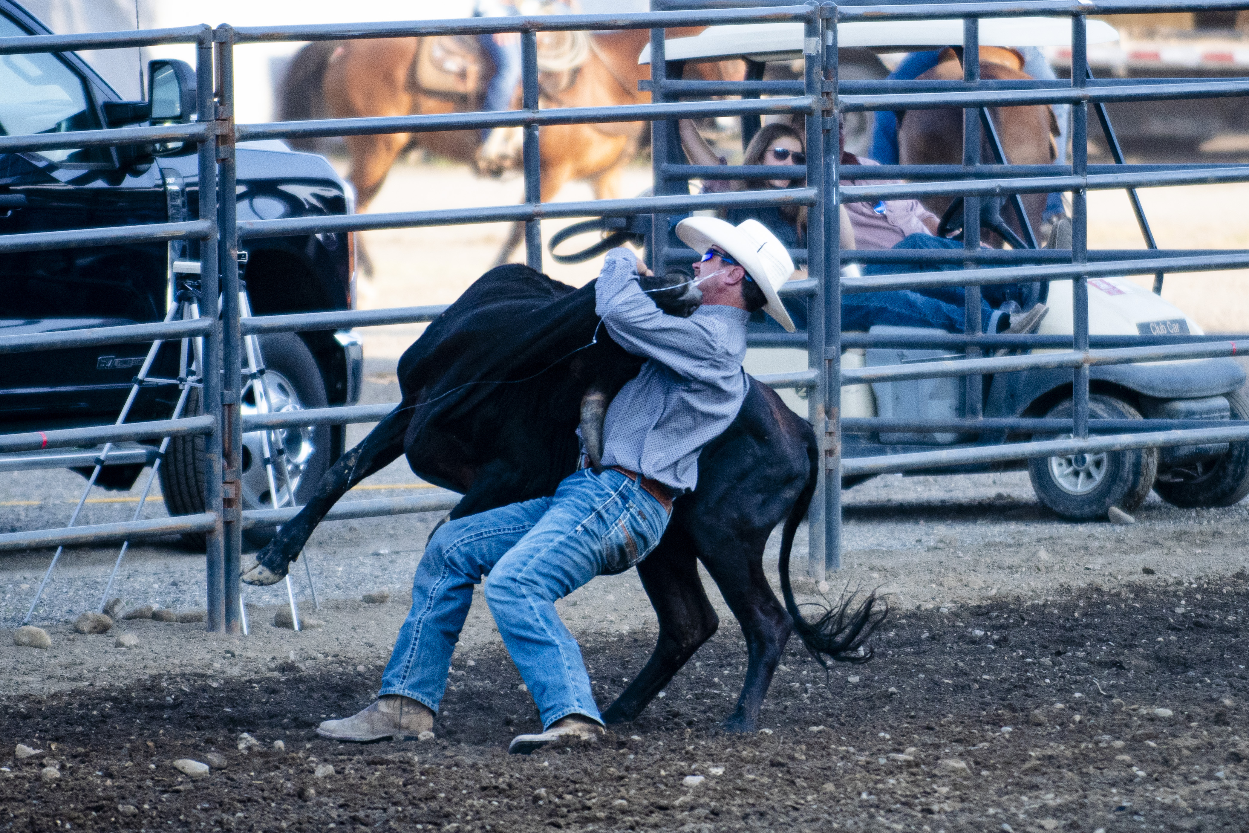 Twisted P Rodeo Jackson - mlive.com
