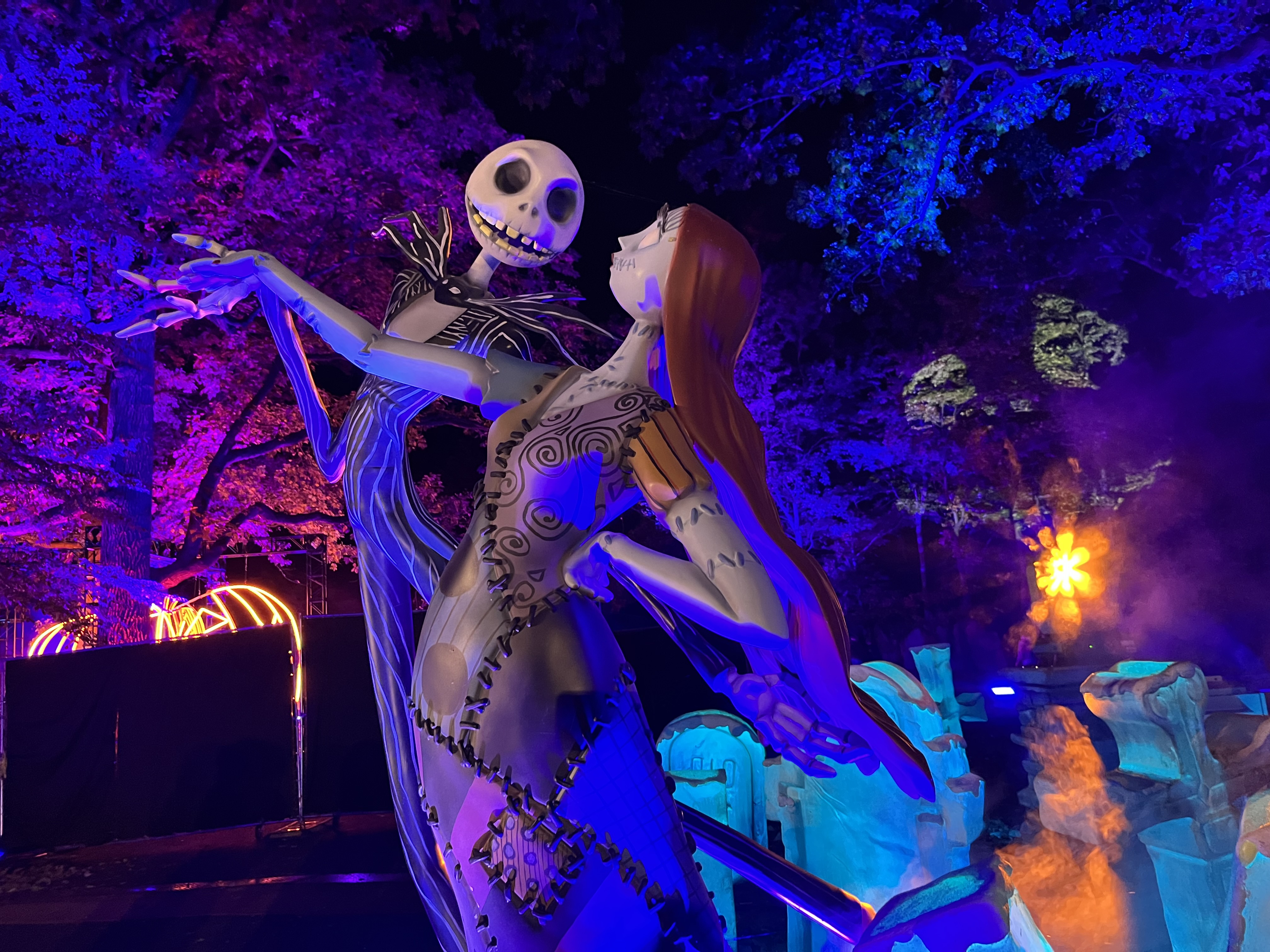 Disney Tim Burton's Nightmare Before Christmas Light Trail will