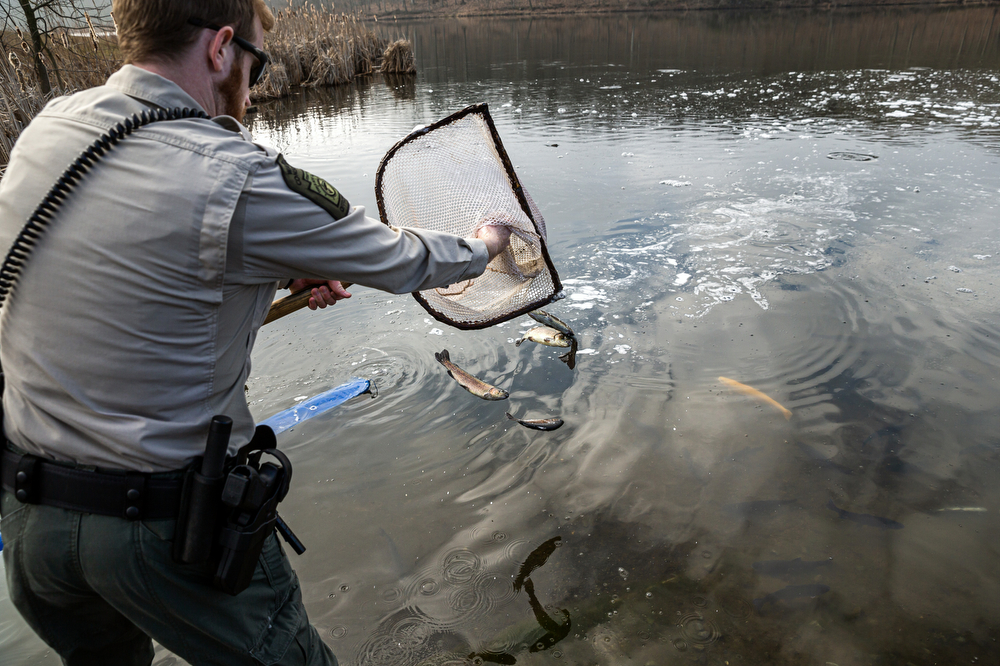 Stocking 3.2 million trout in Pennsylvania begins for 2023 season 