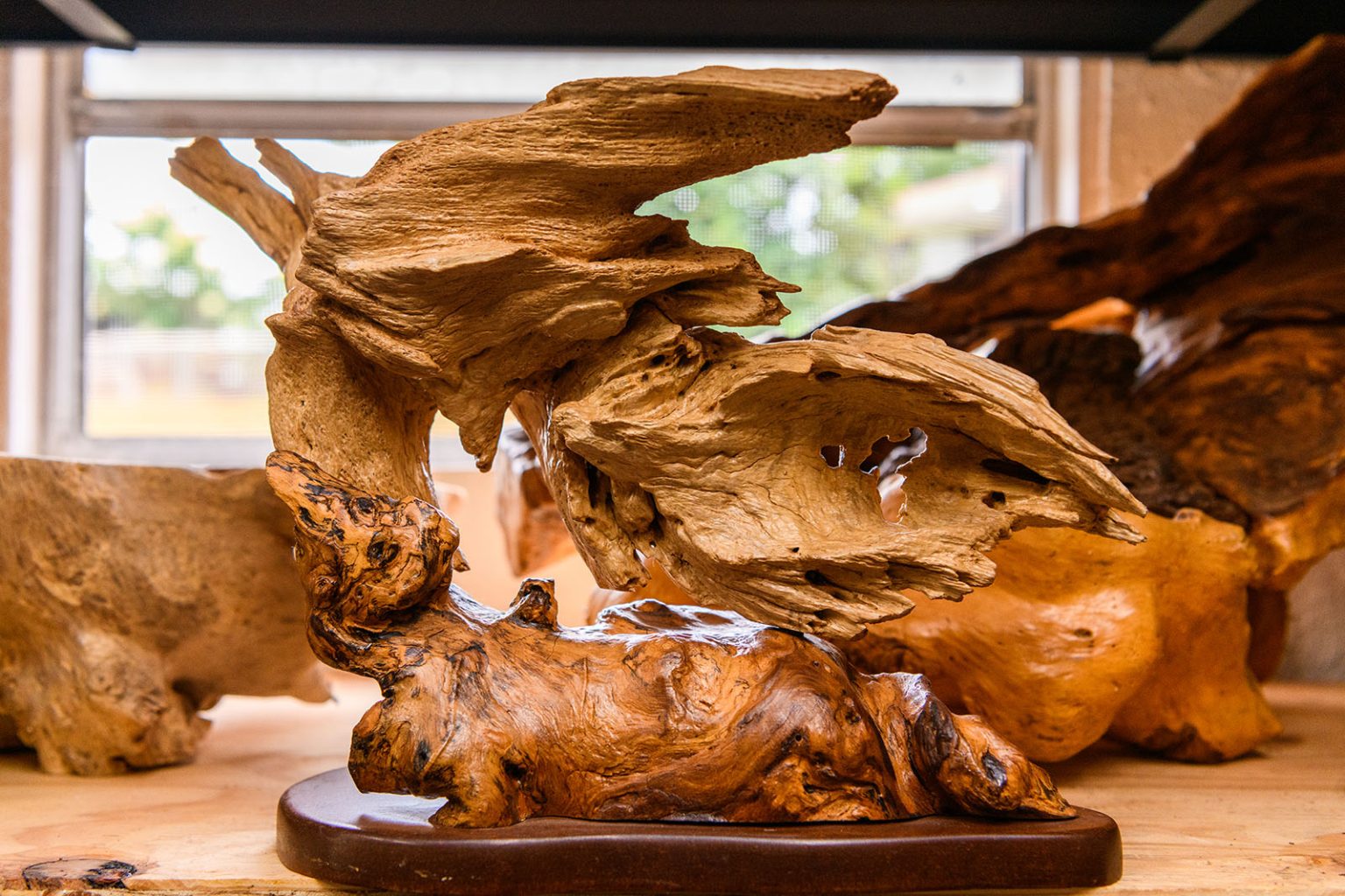 Nature speaks through this Alabama artist's wooden masterpieces