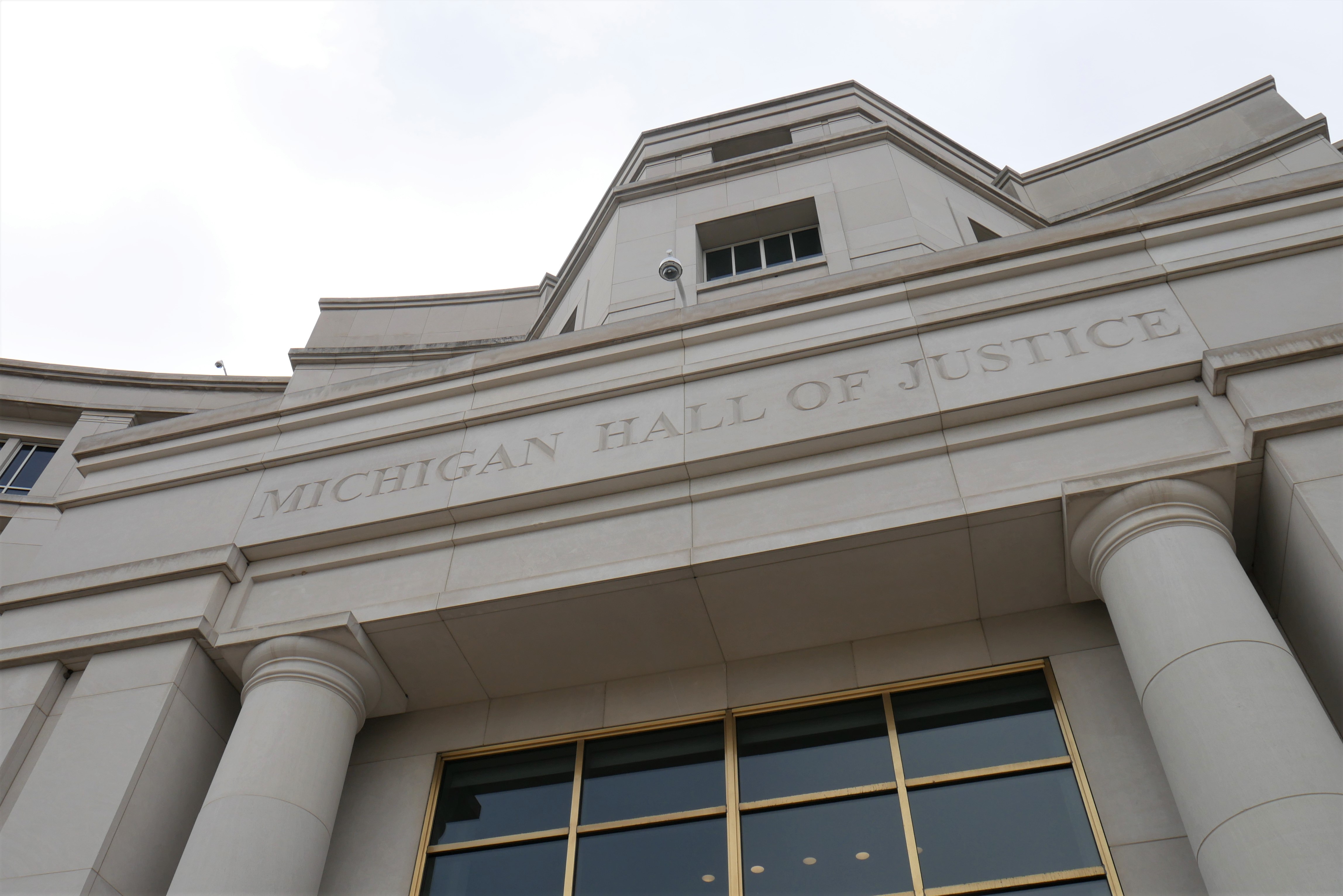 Michigan Supreme Court may require use of preferred pronouns in court -  mlive.com