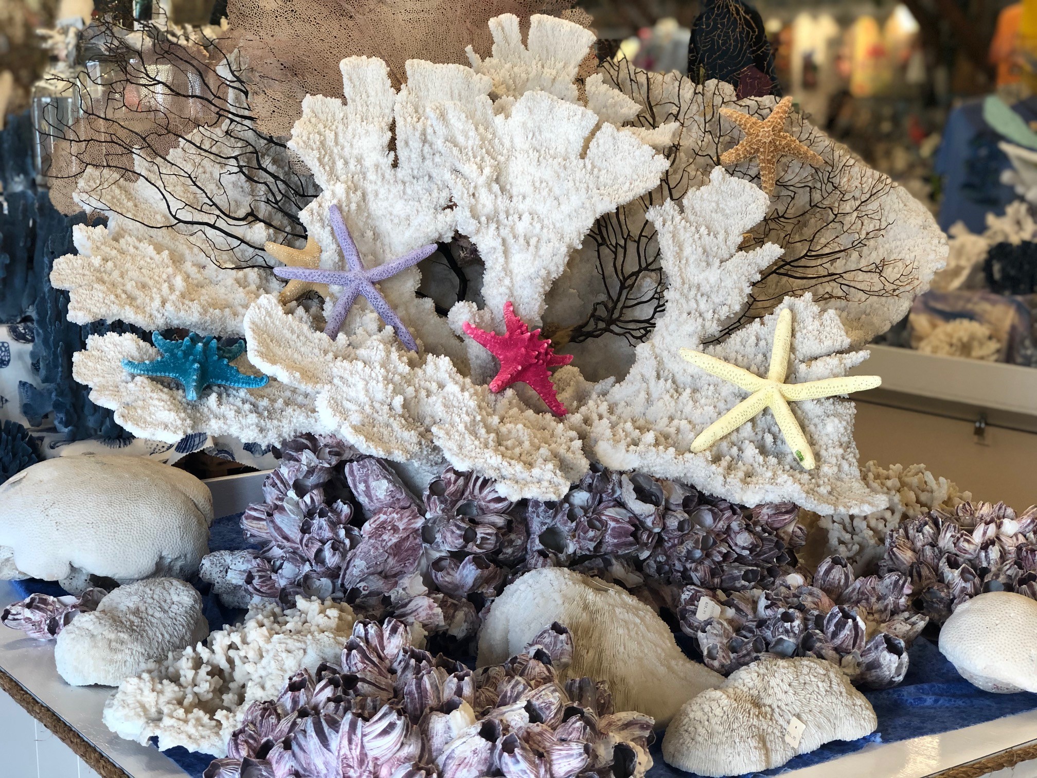 Sea Shell City in Cheboygan, Michigan