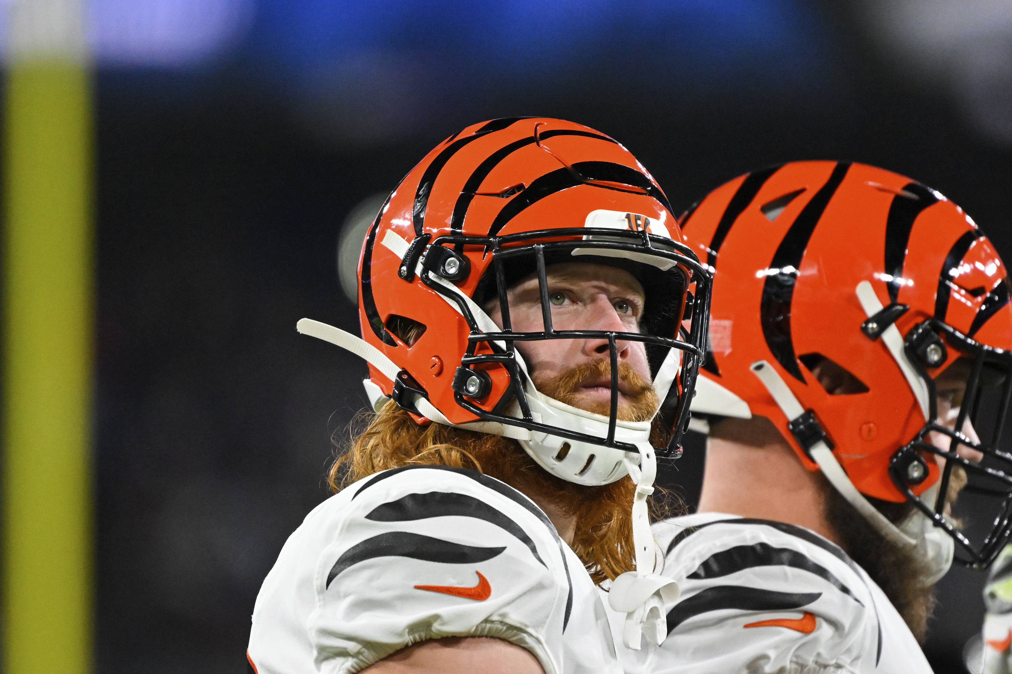 Cincinnati Bengals tight end Hayden Hurst (88) reacts after