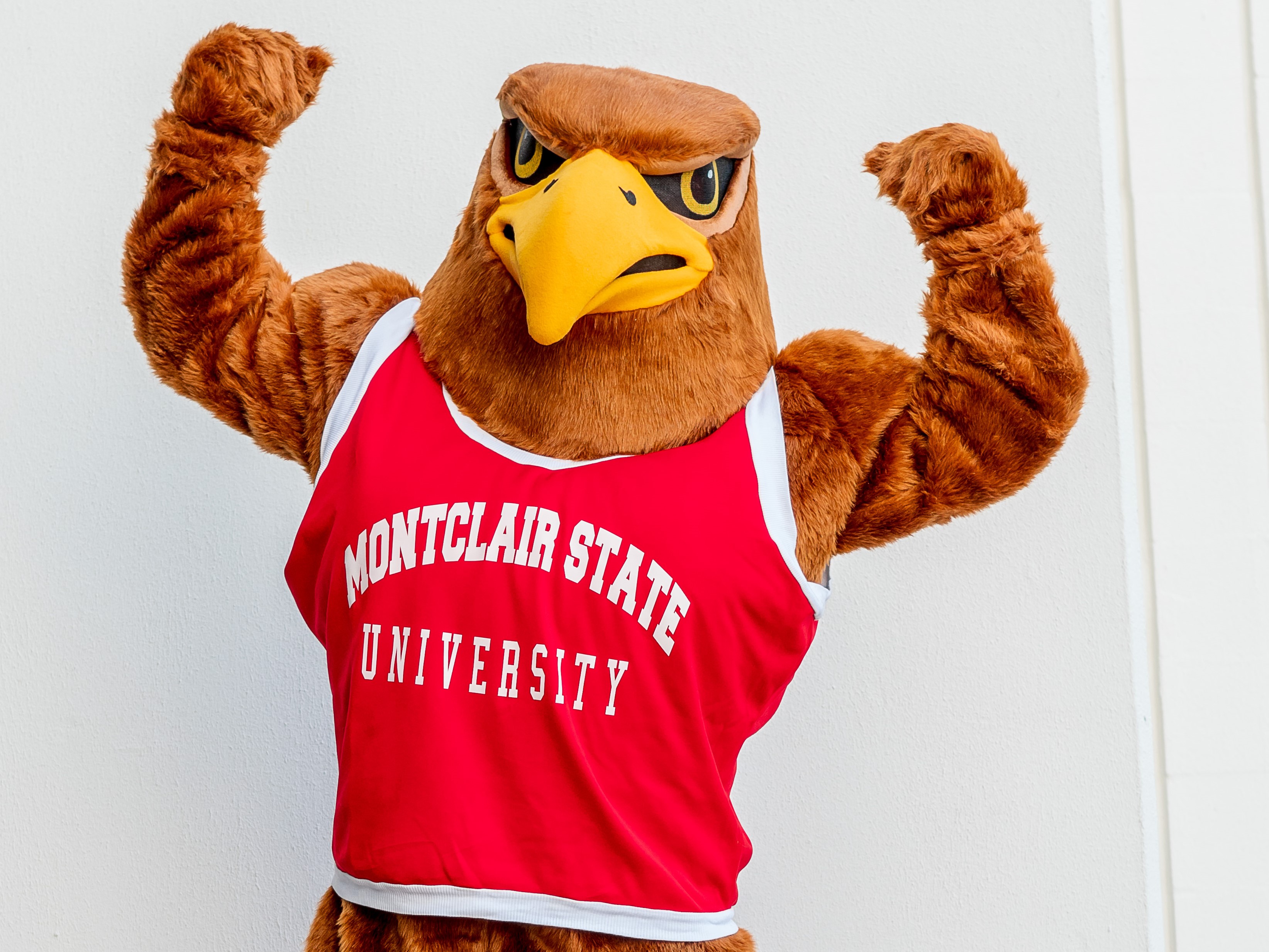 Meet Rocky The Red Hawk The Montclair State Mascot Who Uses Social Media To Make Allies Of His Rivals Silive Com