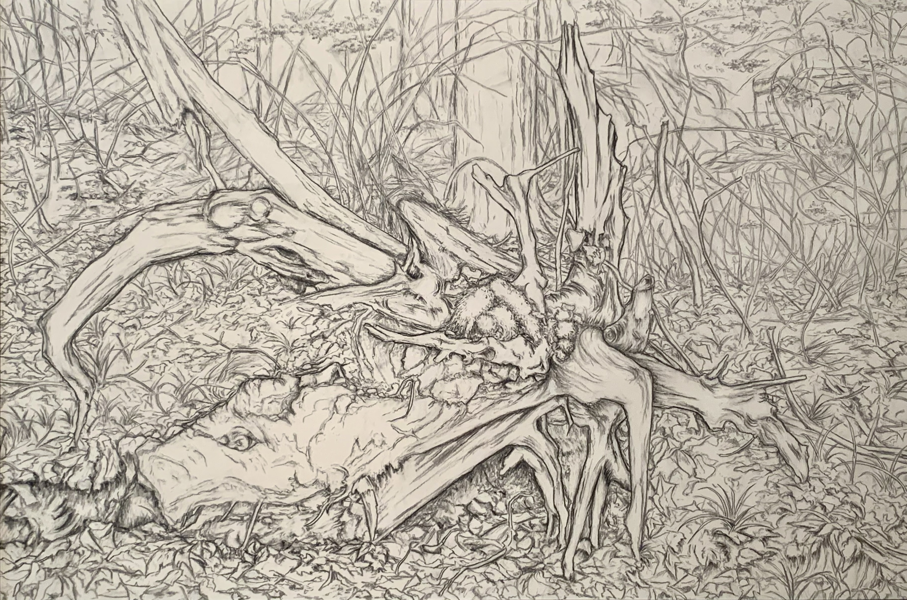 Lawrence Baker dominates three-person landscape show with Brinsley Tyrrell  and Joseph O'Sickey - cleveland.com, image size:3634x2405