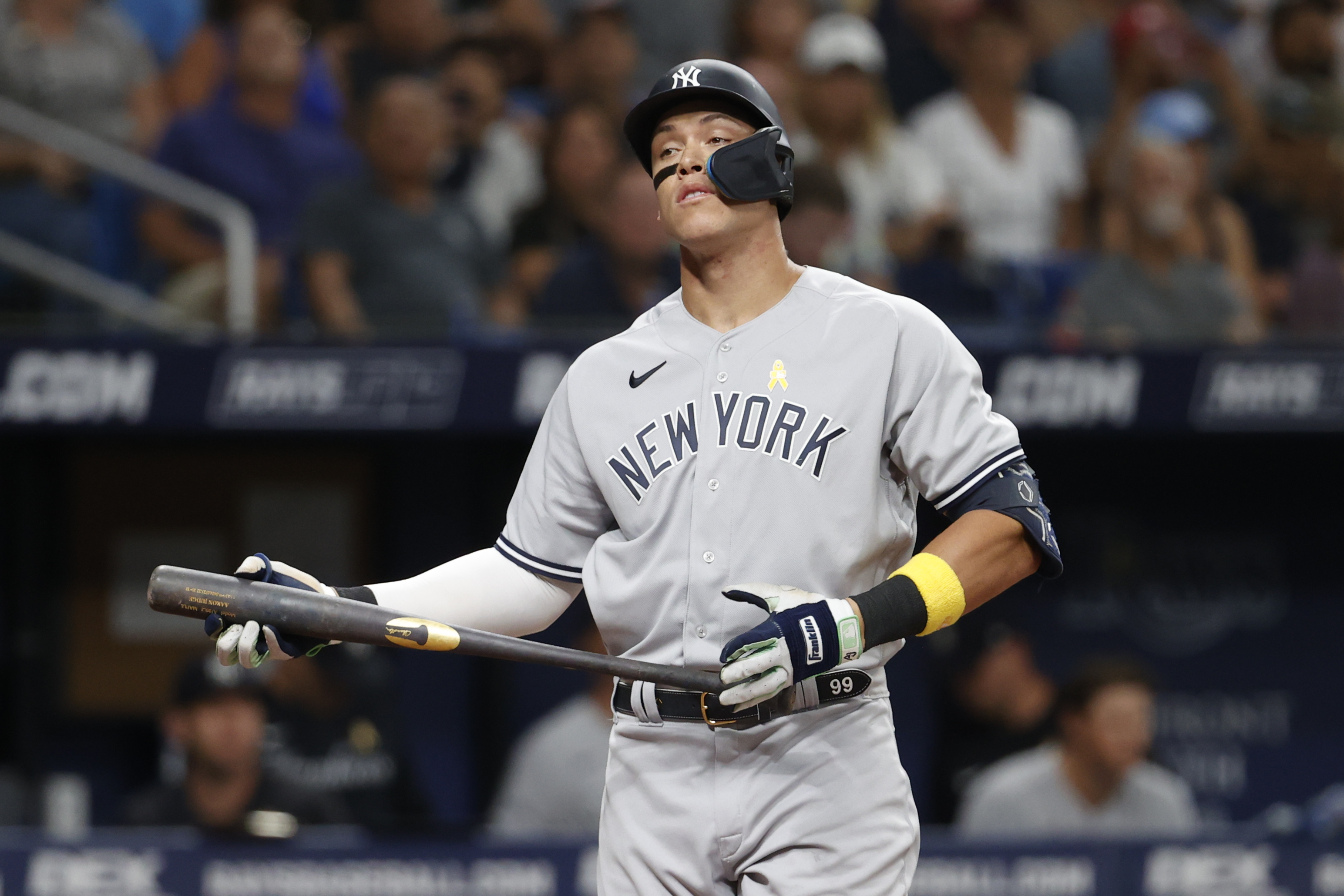 Aaron Judge hasn't just improved his plate discipline this year, he's  improved his plate coverage too - River Avenue Blues