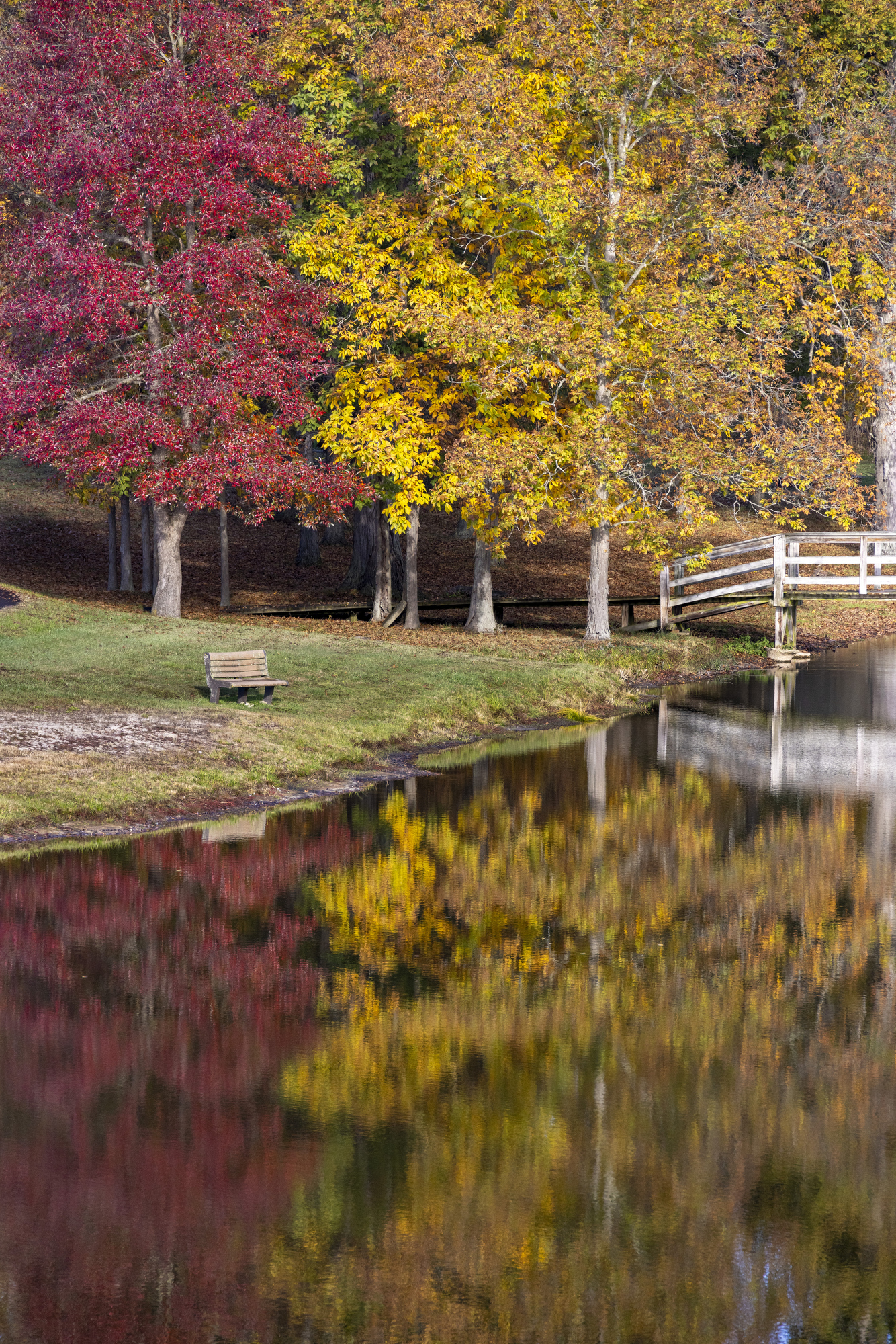 Fall colors begin to show around Northeast Ohio, October 15, 2025 ...