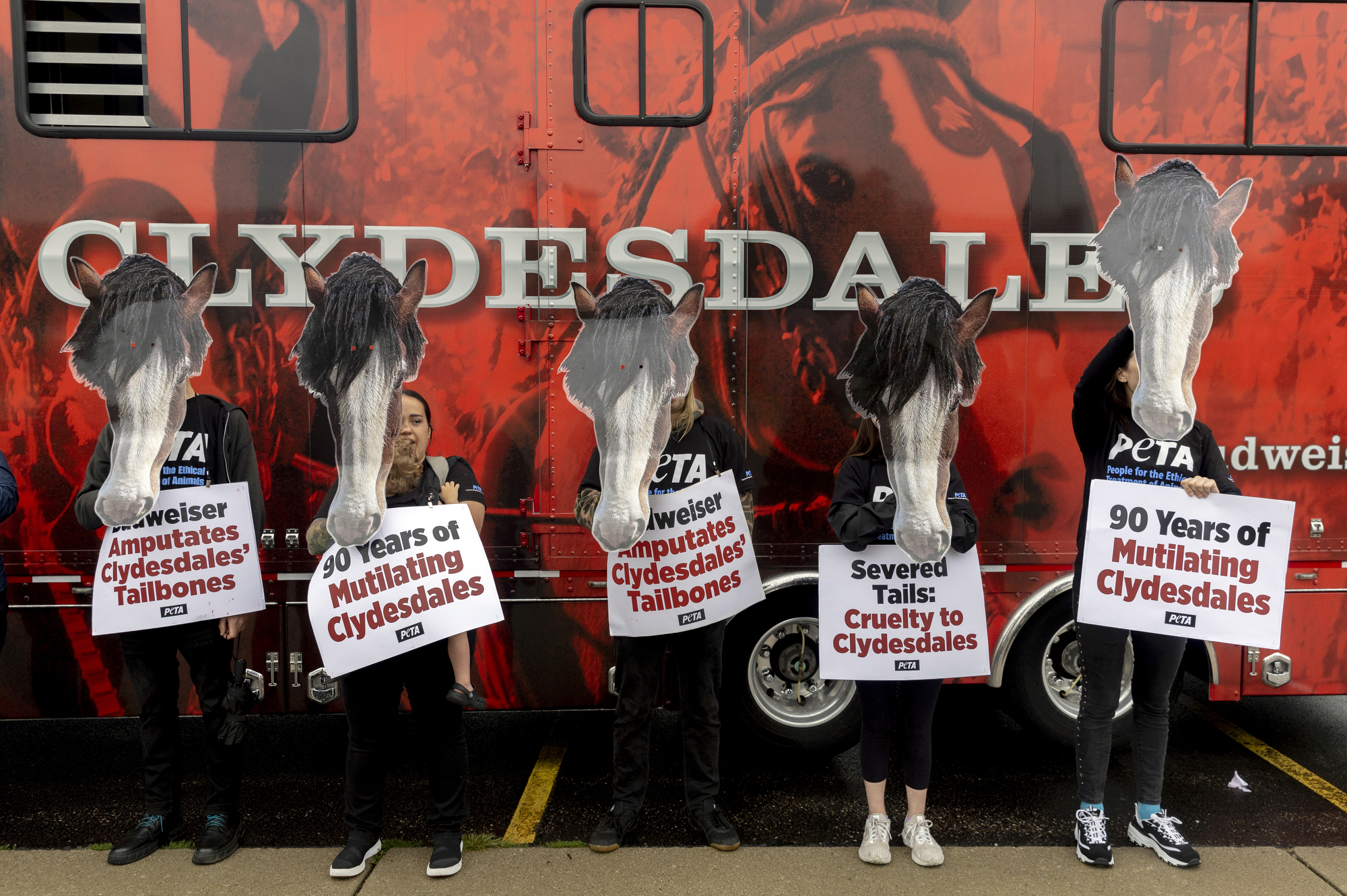 PETA protests Budweiser in Michigan for animal abuse, mutilation of ...
