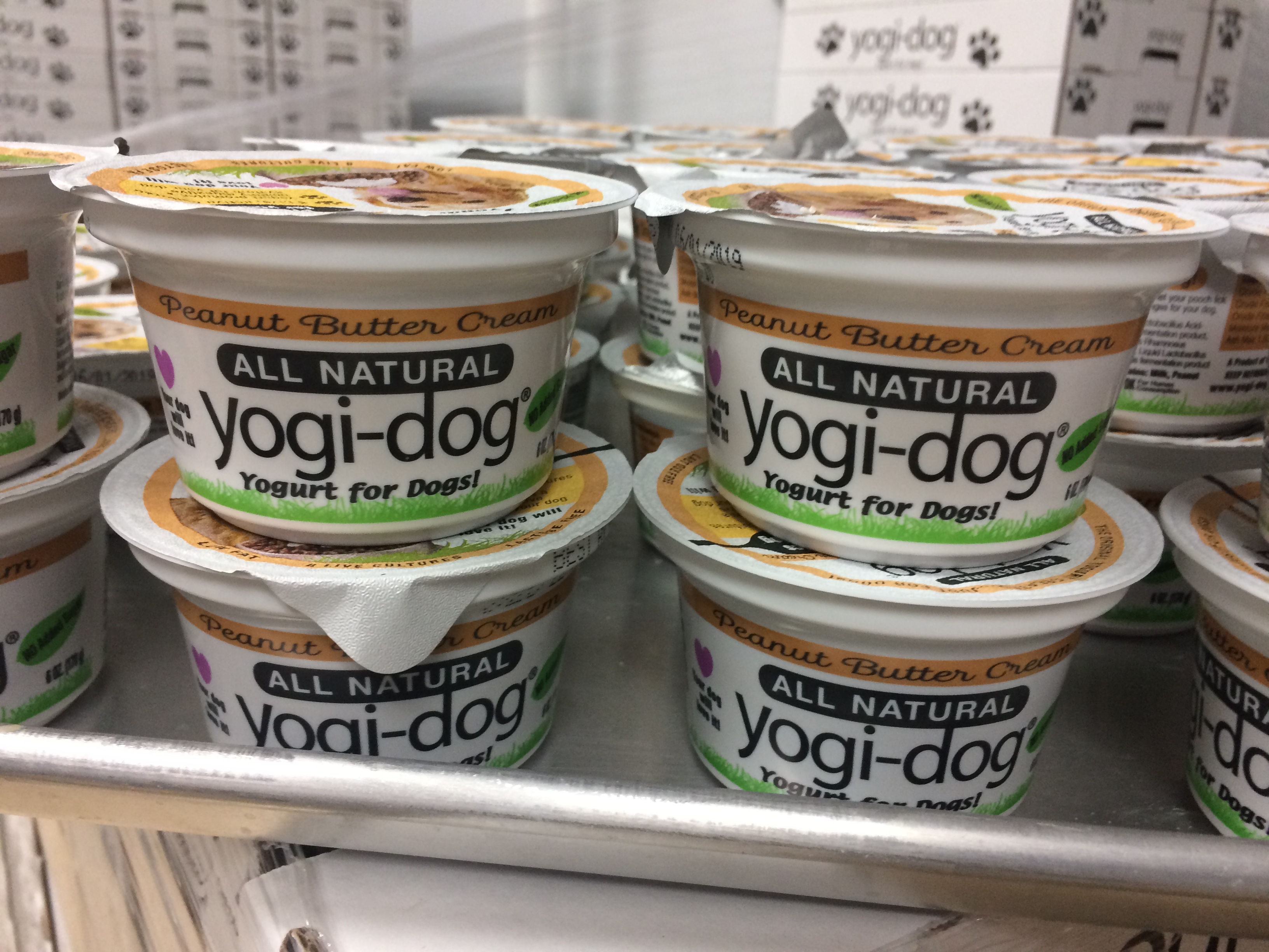 Natural yogurt for dogs hotsell