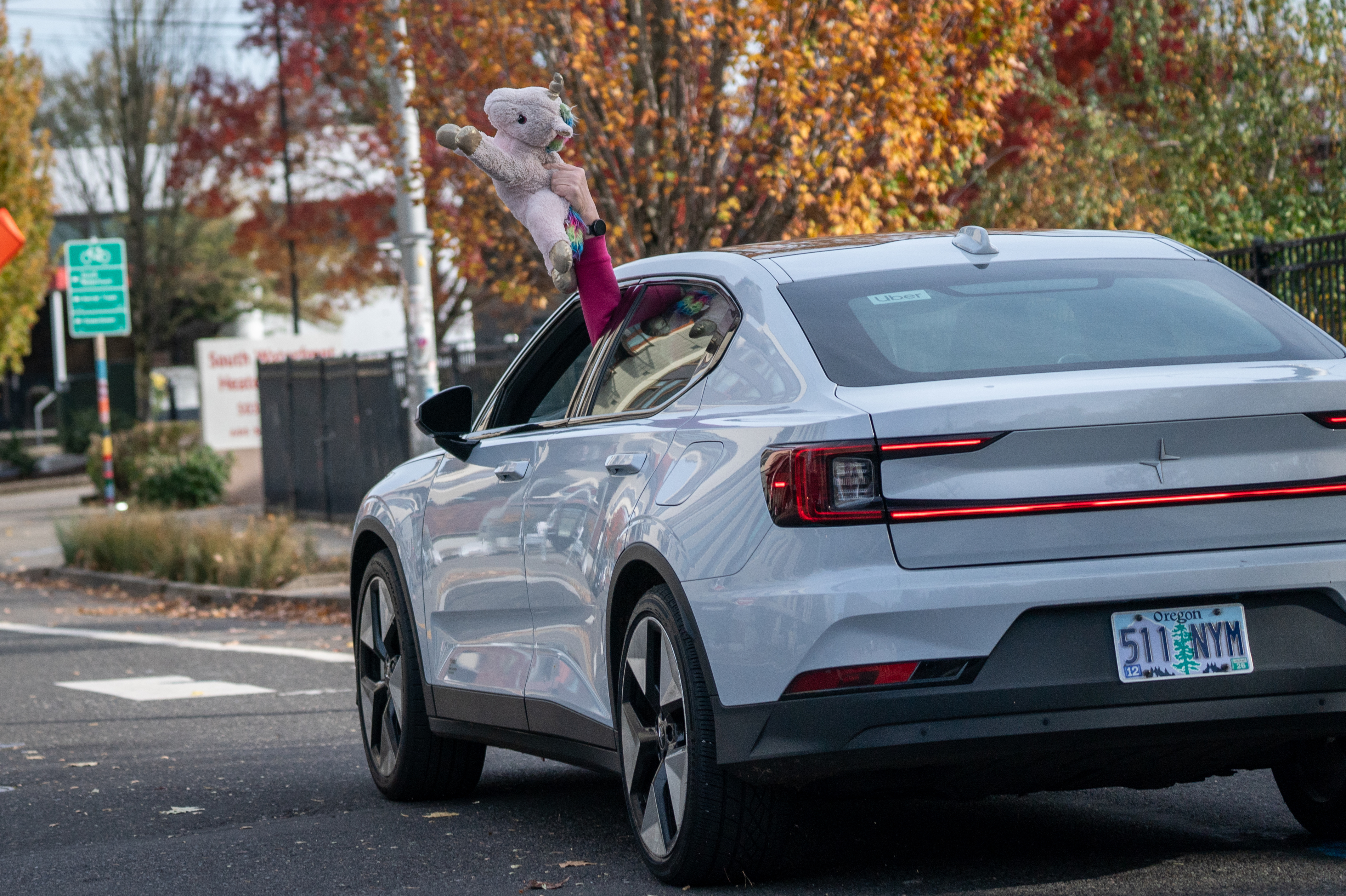 A passing car waves a stuff unicorn out the window in support. 