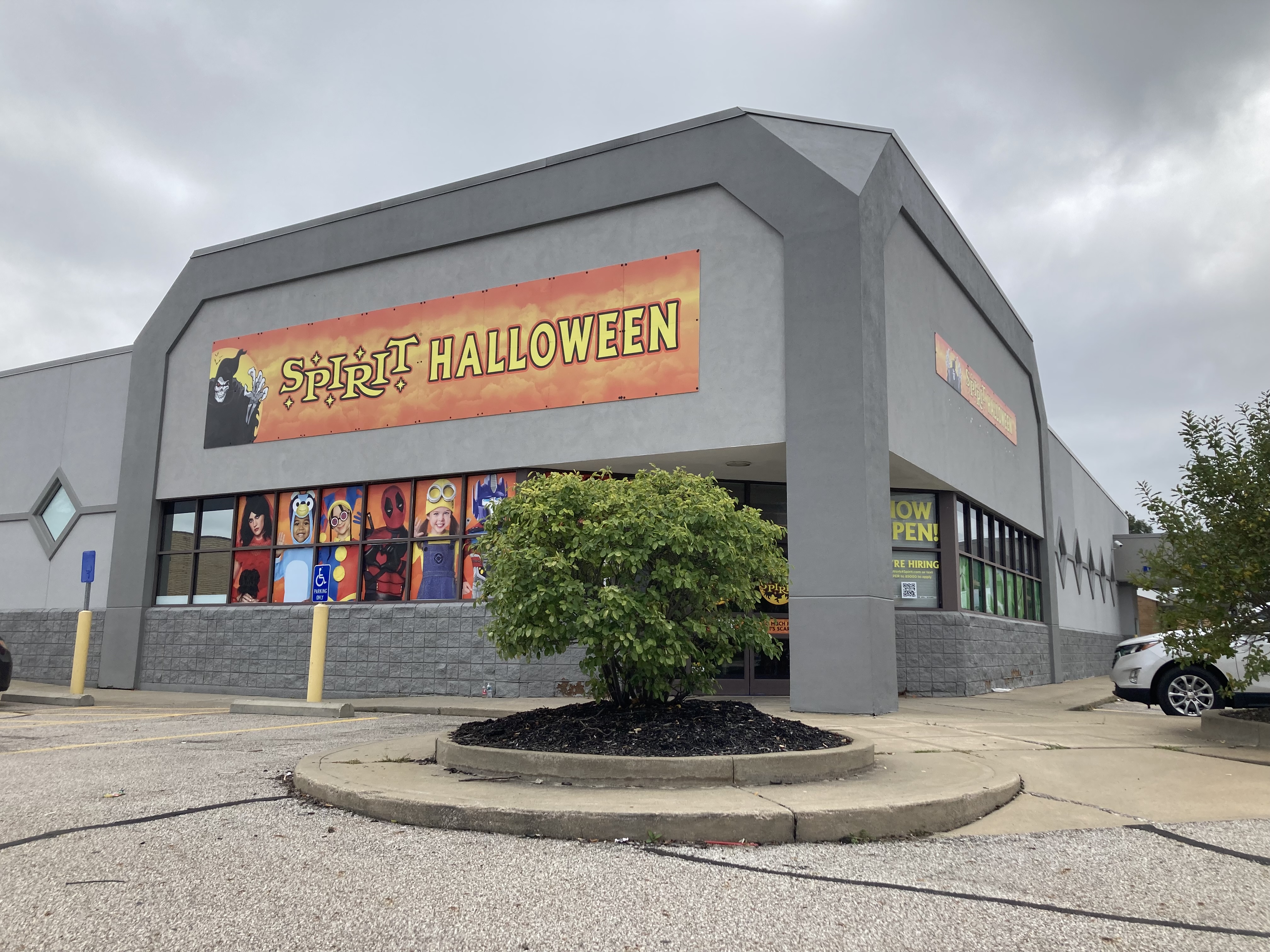 Peters Road SPIRIT 7'9\