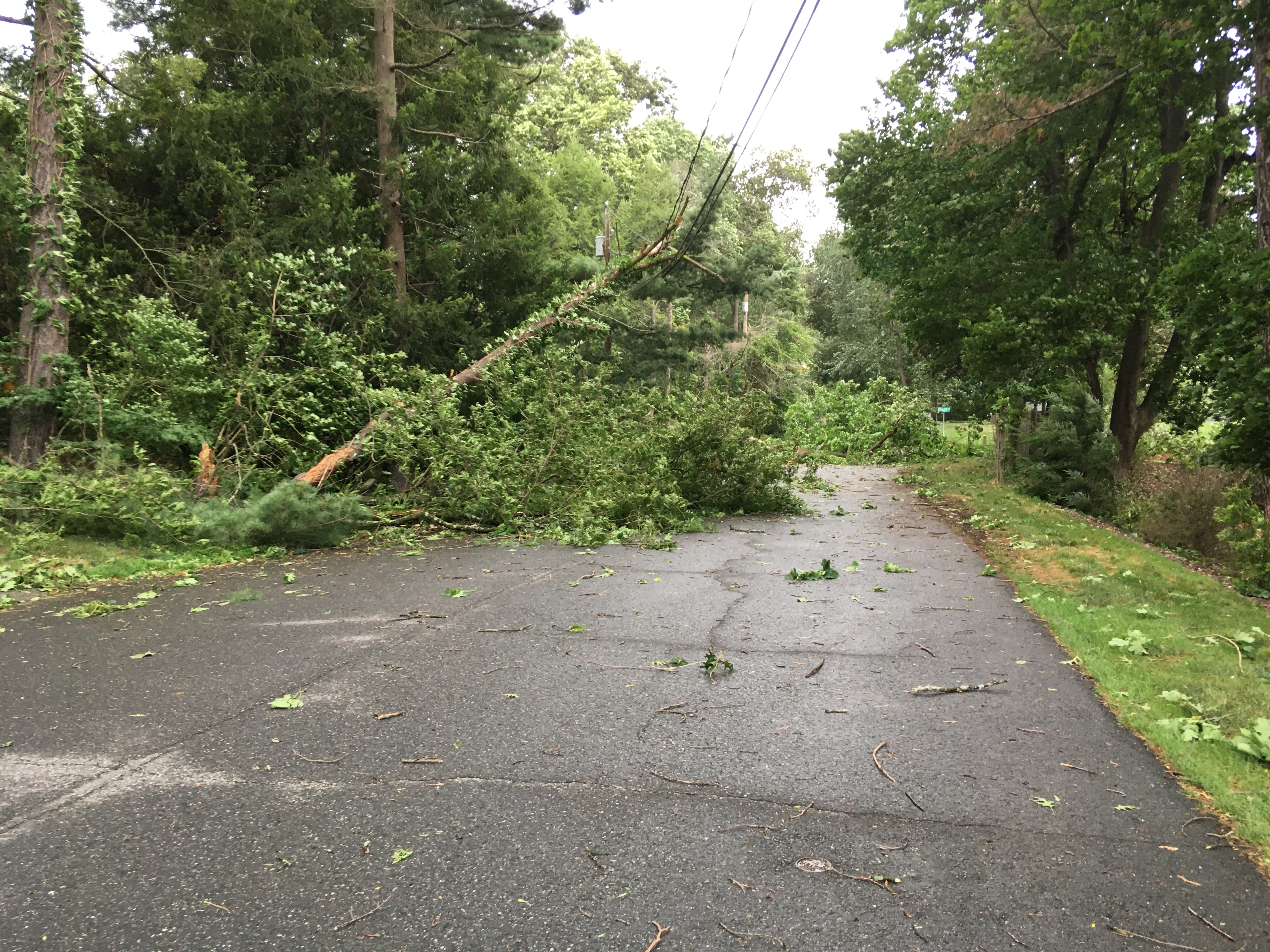 Downed Trees And Possible Power Outages With The Next Weather System - WRWH