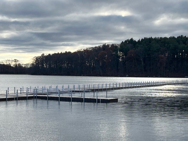 Lake Williams Floating Boardwalk Unveiled In Marlborough