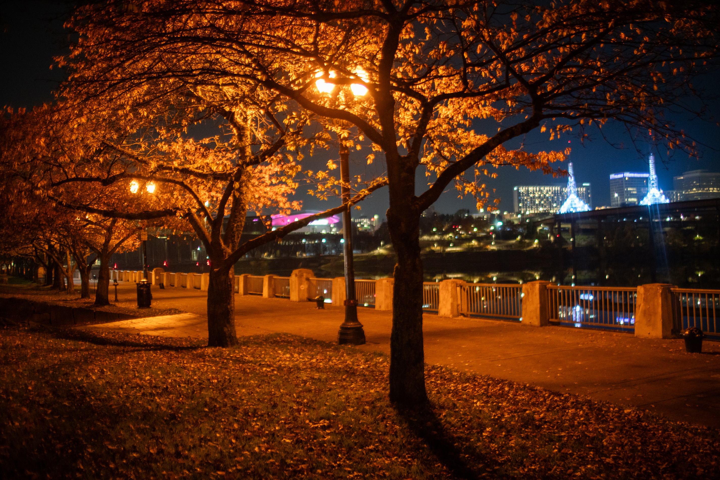 A fall Portland night November 7, 2024 - oregonlive.com