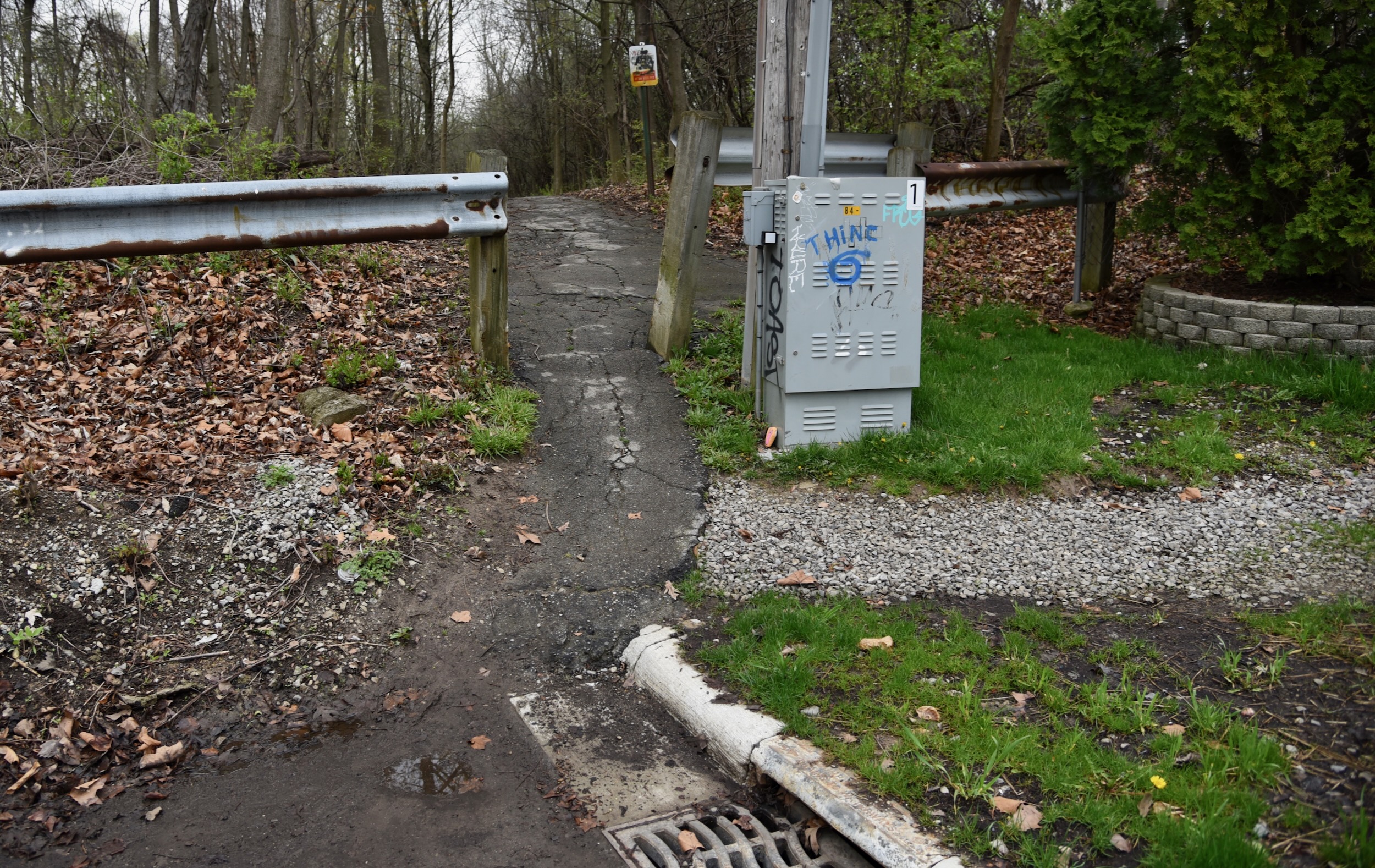 RunnymedePauline asphalt path in Ann Arbor crumbling, muddy and