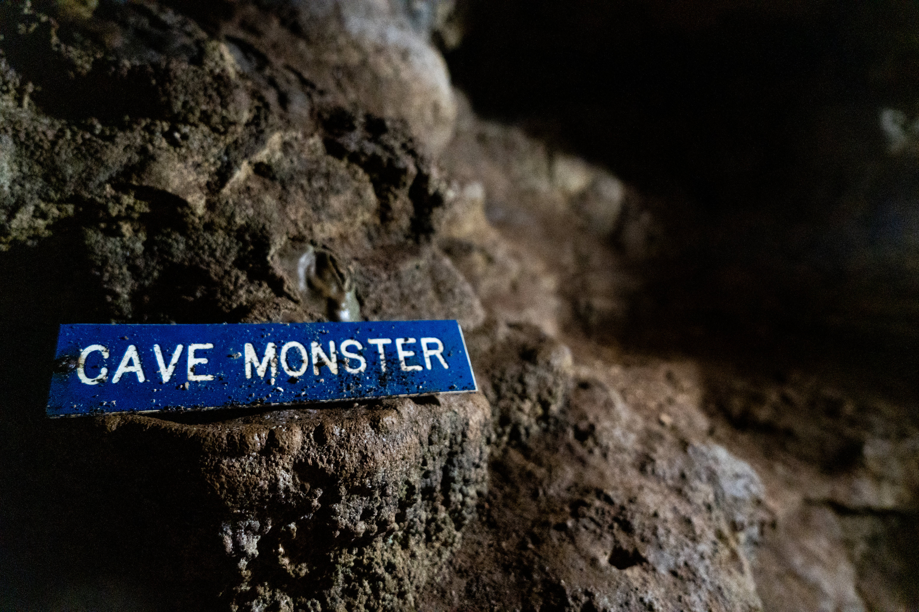 A sneak peek of the self-guided Bear Cave tour - mlive.com