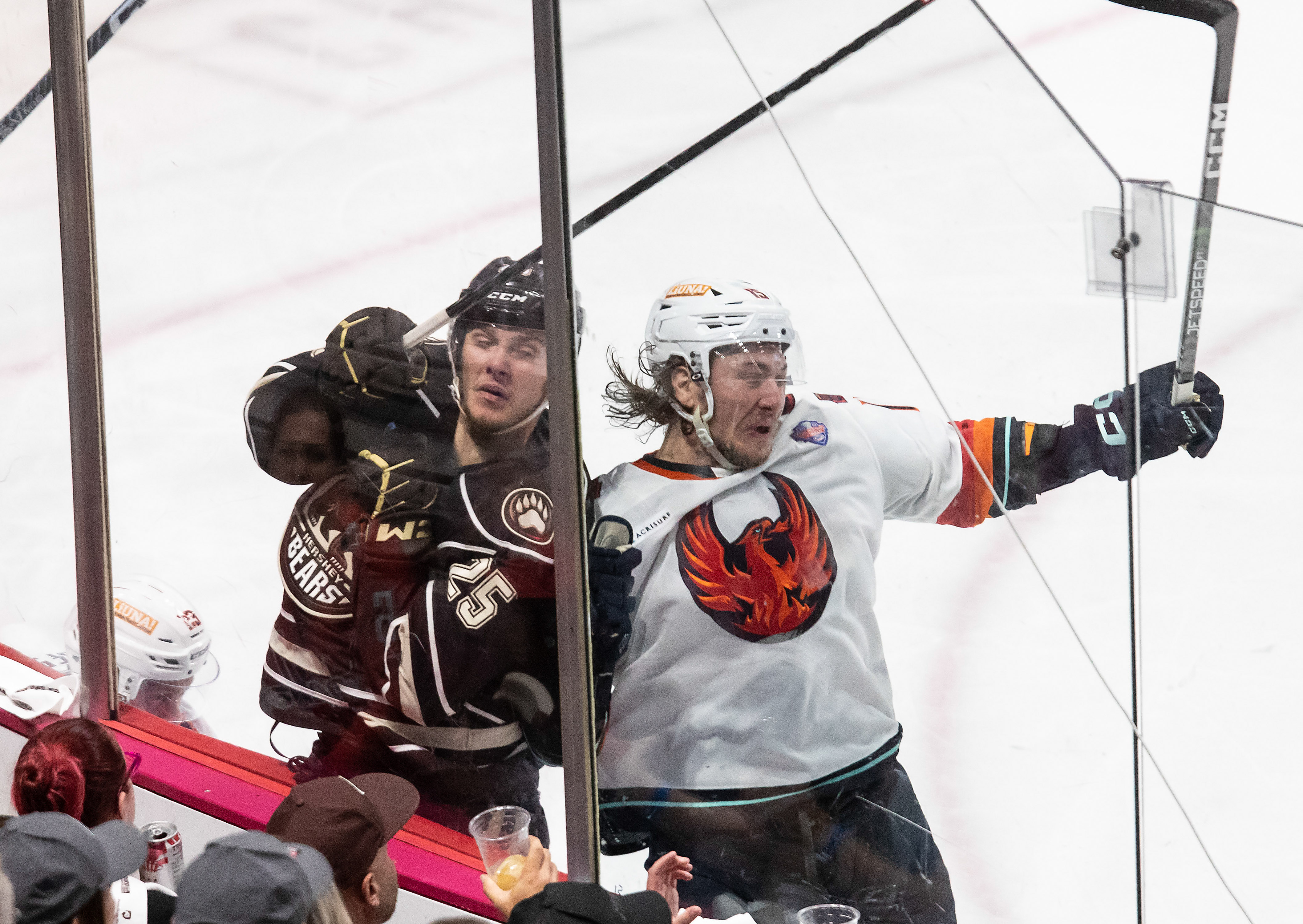 Sam Anas, a Calder Cup champion with the Hershey Bears and former