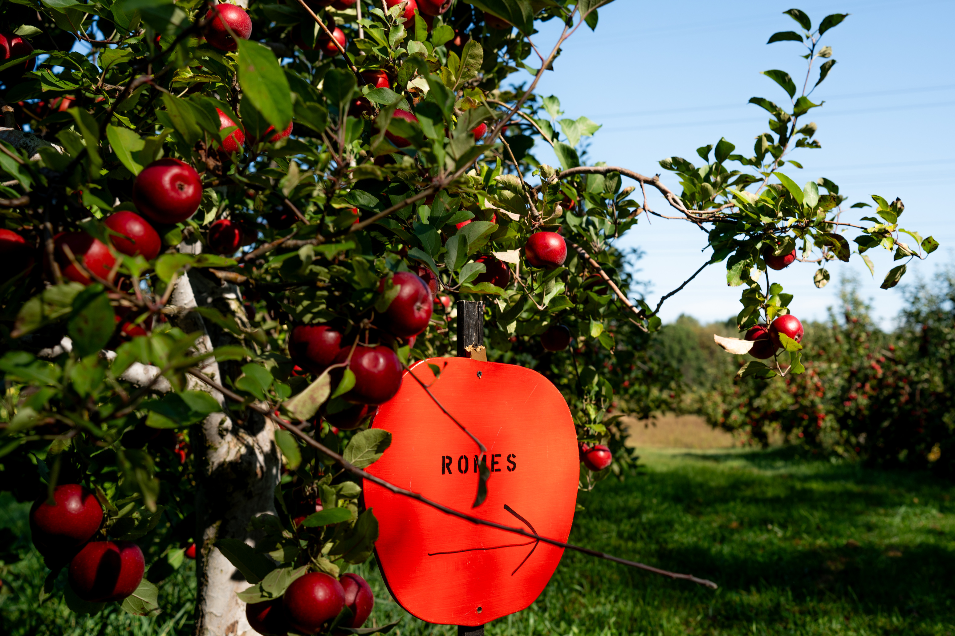 A family environment and a 125-year-old apple press make VerHage Fruit ...