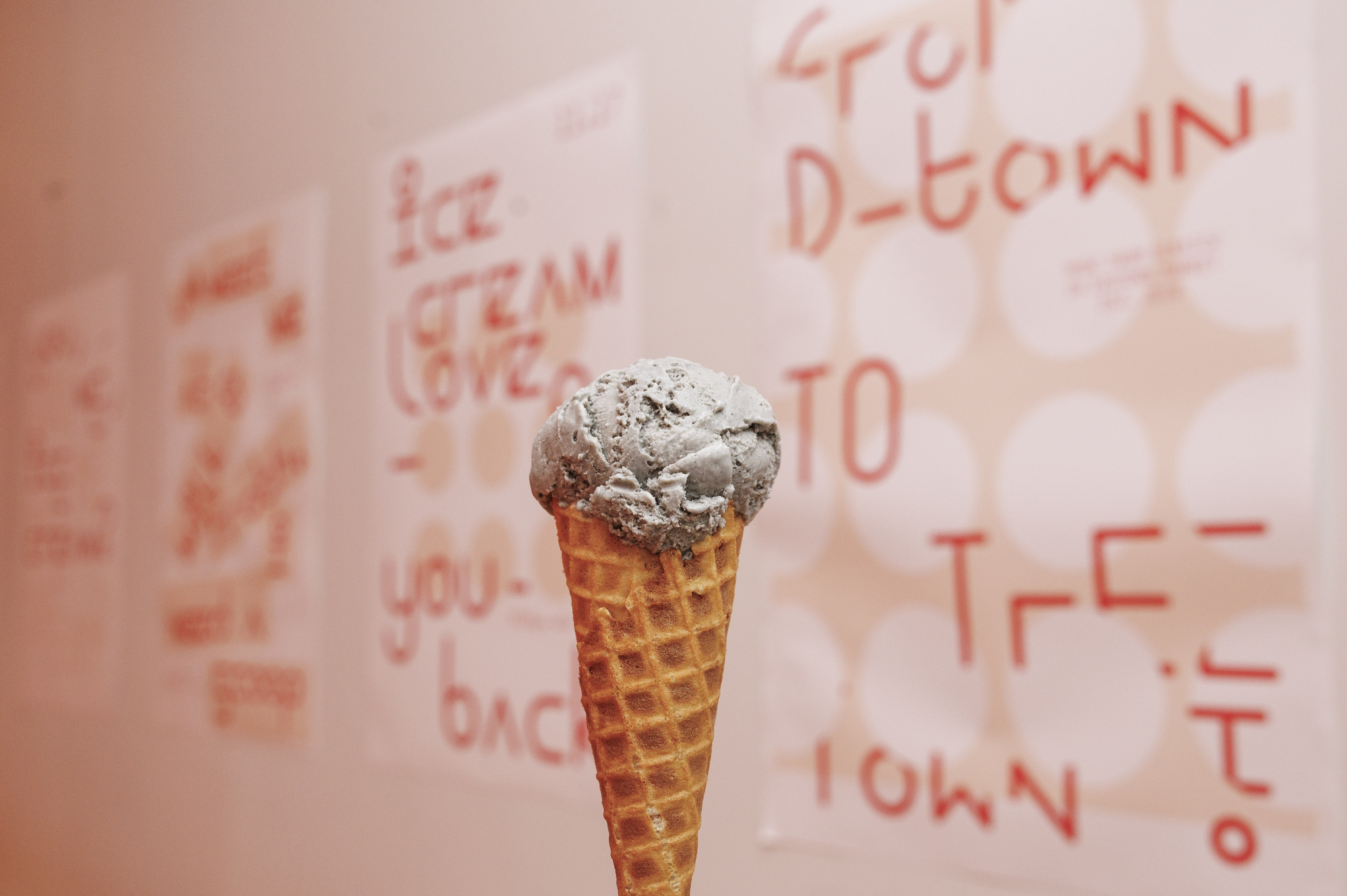 Local Eats Milk & Froth Ice Cream